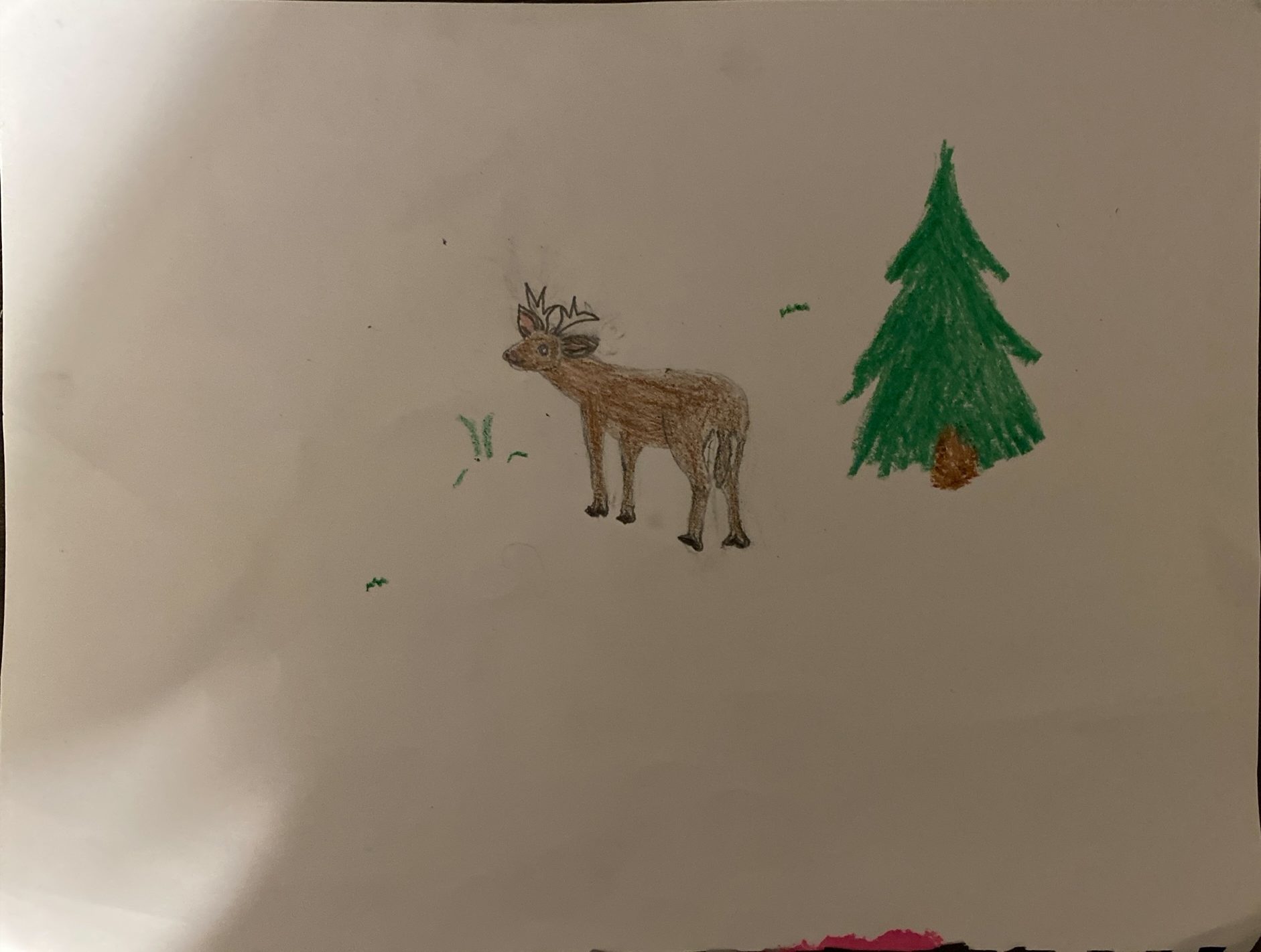 Horned Beauty Thumbnail