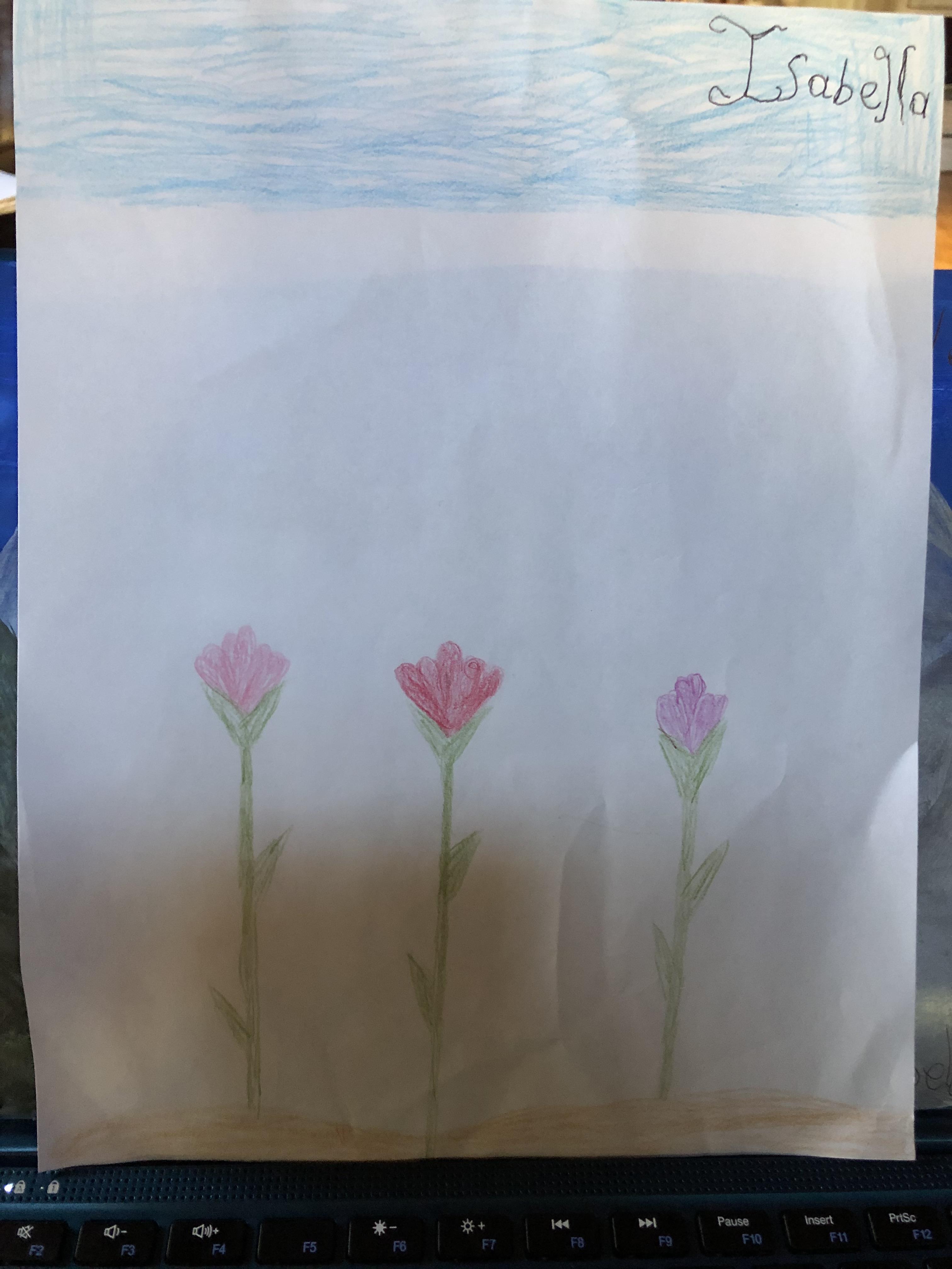 Mountain View and Tulip Garden Thumbnail