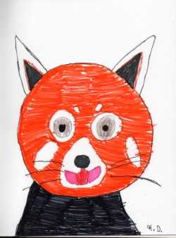 Red Panda (with marker) Thumbnail