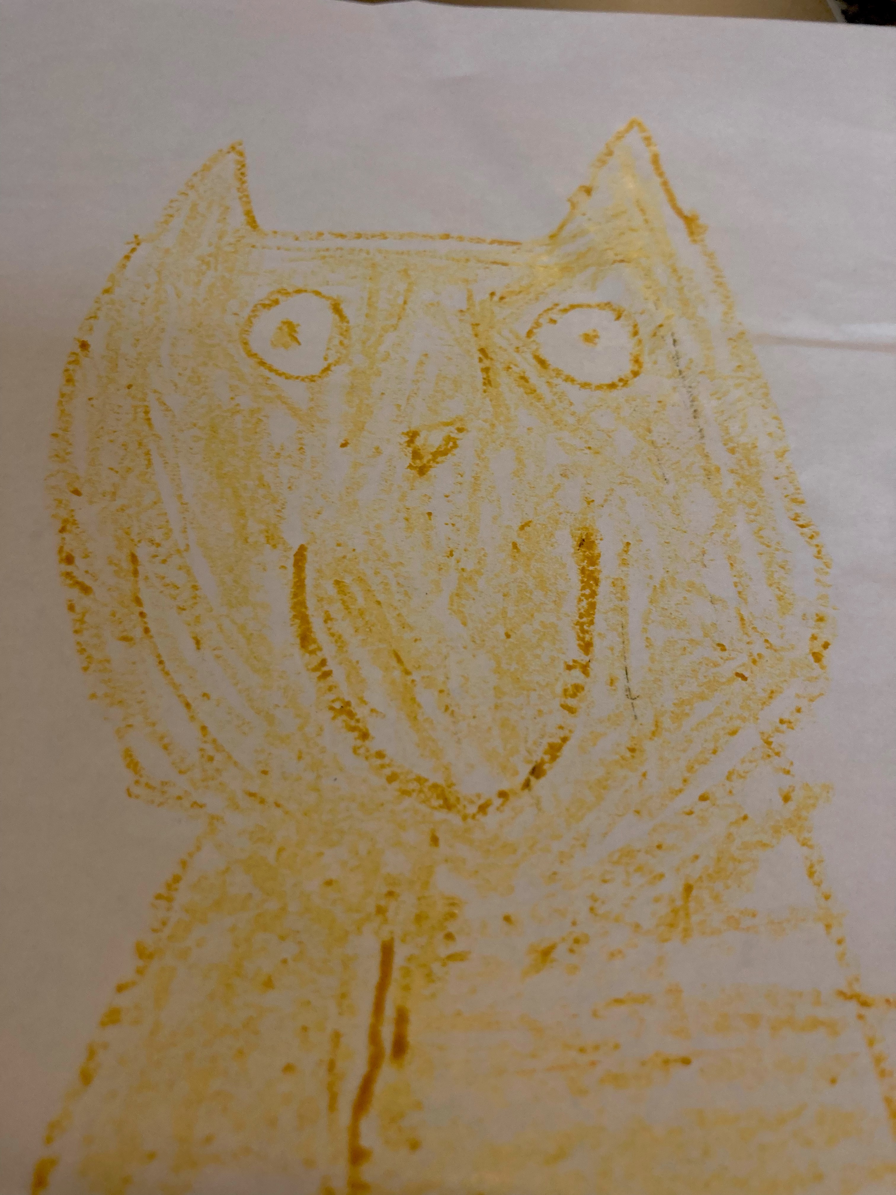 My cat Pumpkin Thumbnail