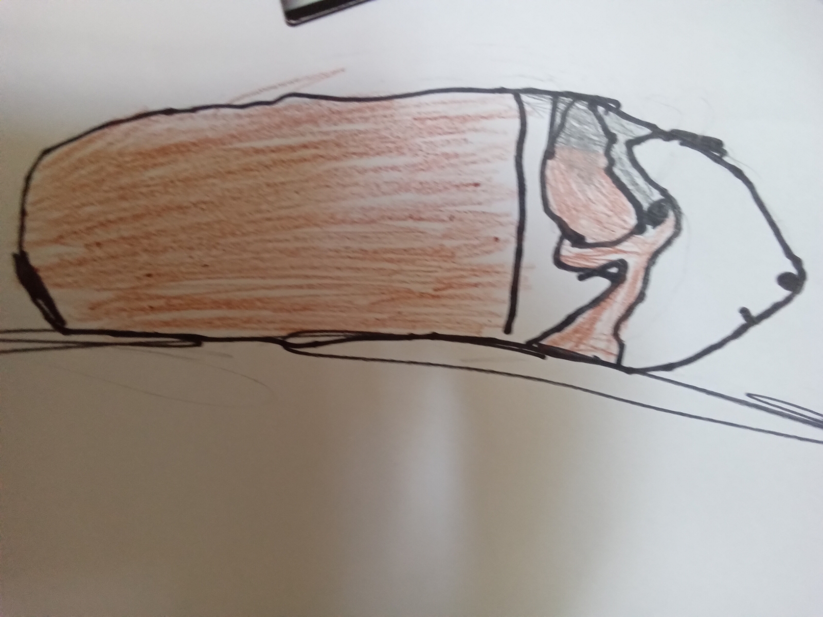 Smores Thumbnail