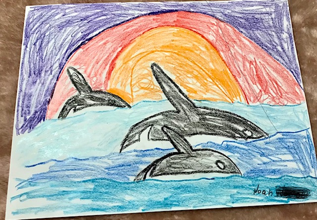 The Orca Pod Thumbnail