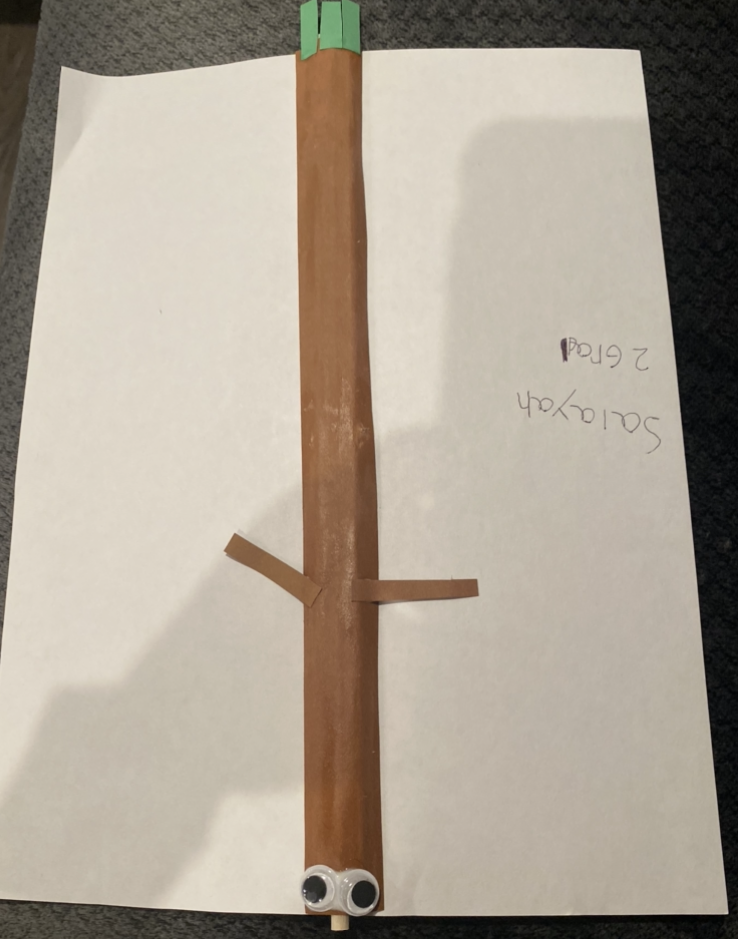 Walking Stick Thumbnail
