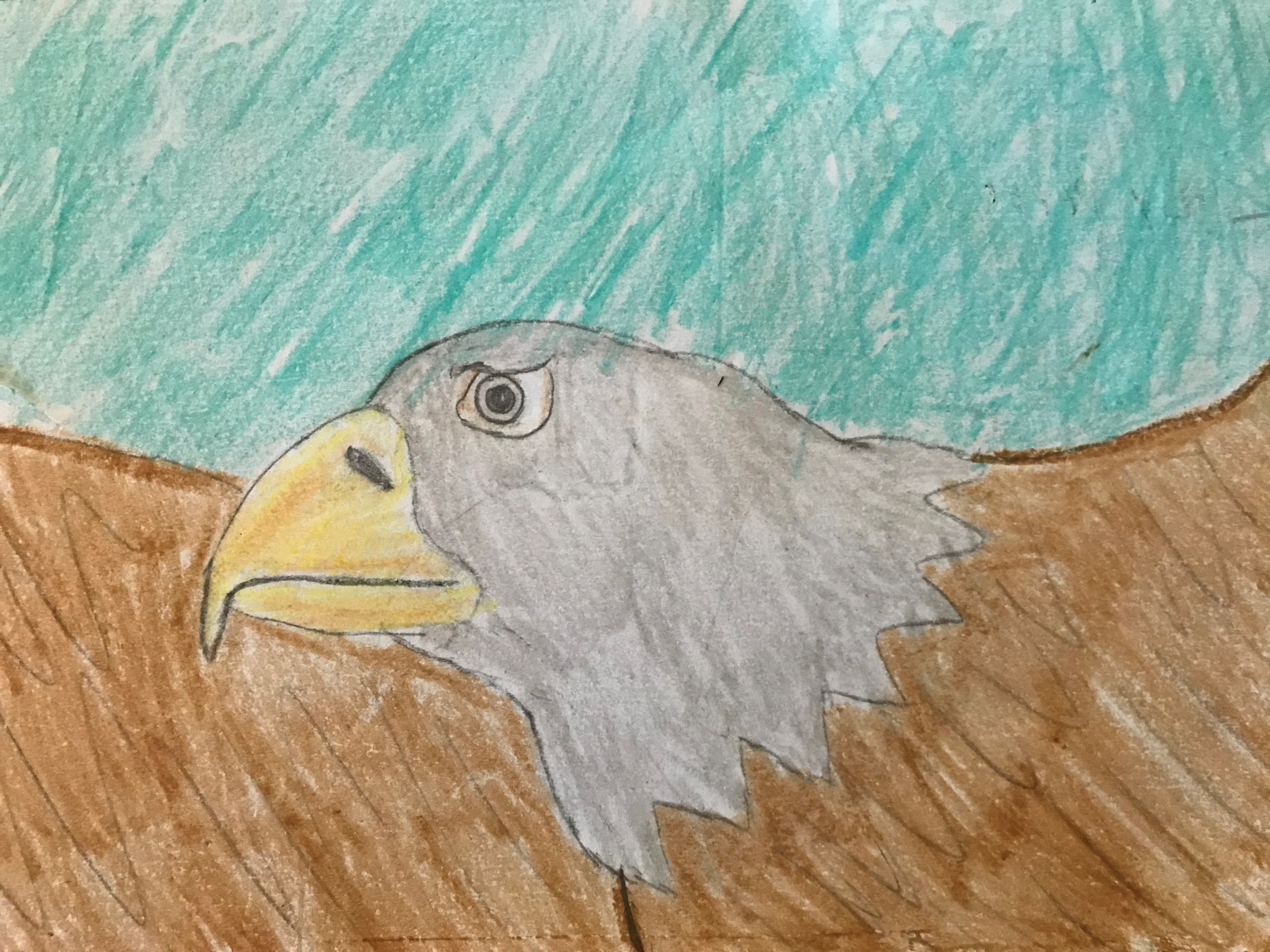 Eagle Thumbnail