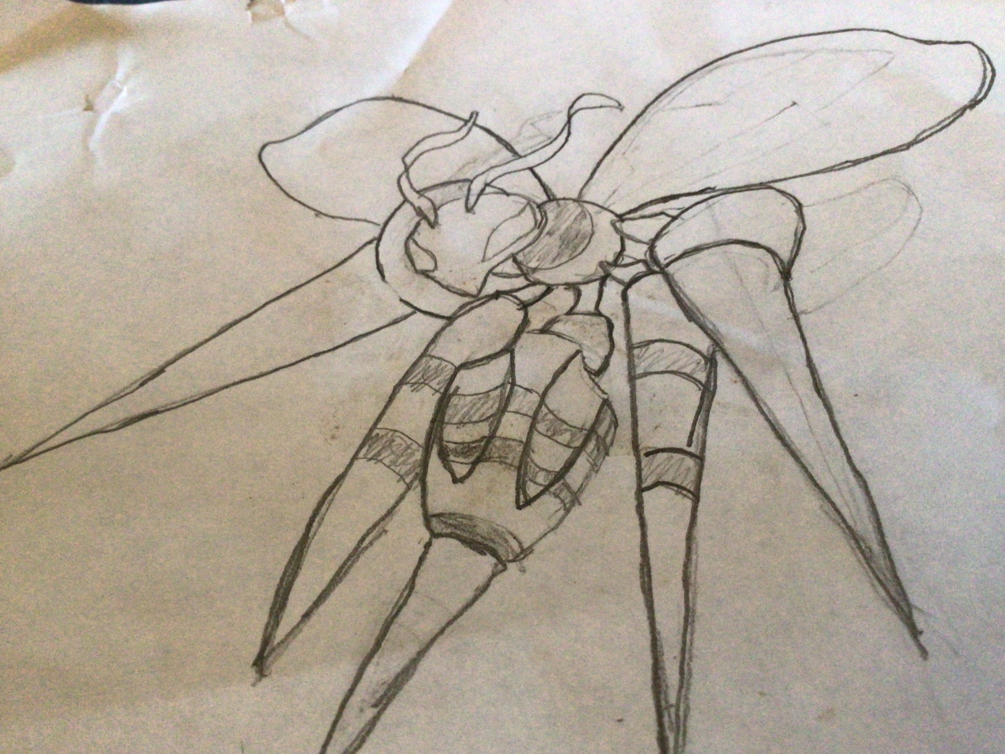 Mega Beedrill Thumbnail