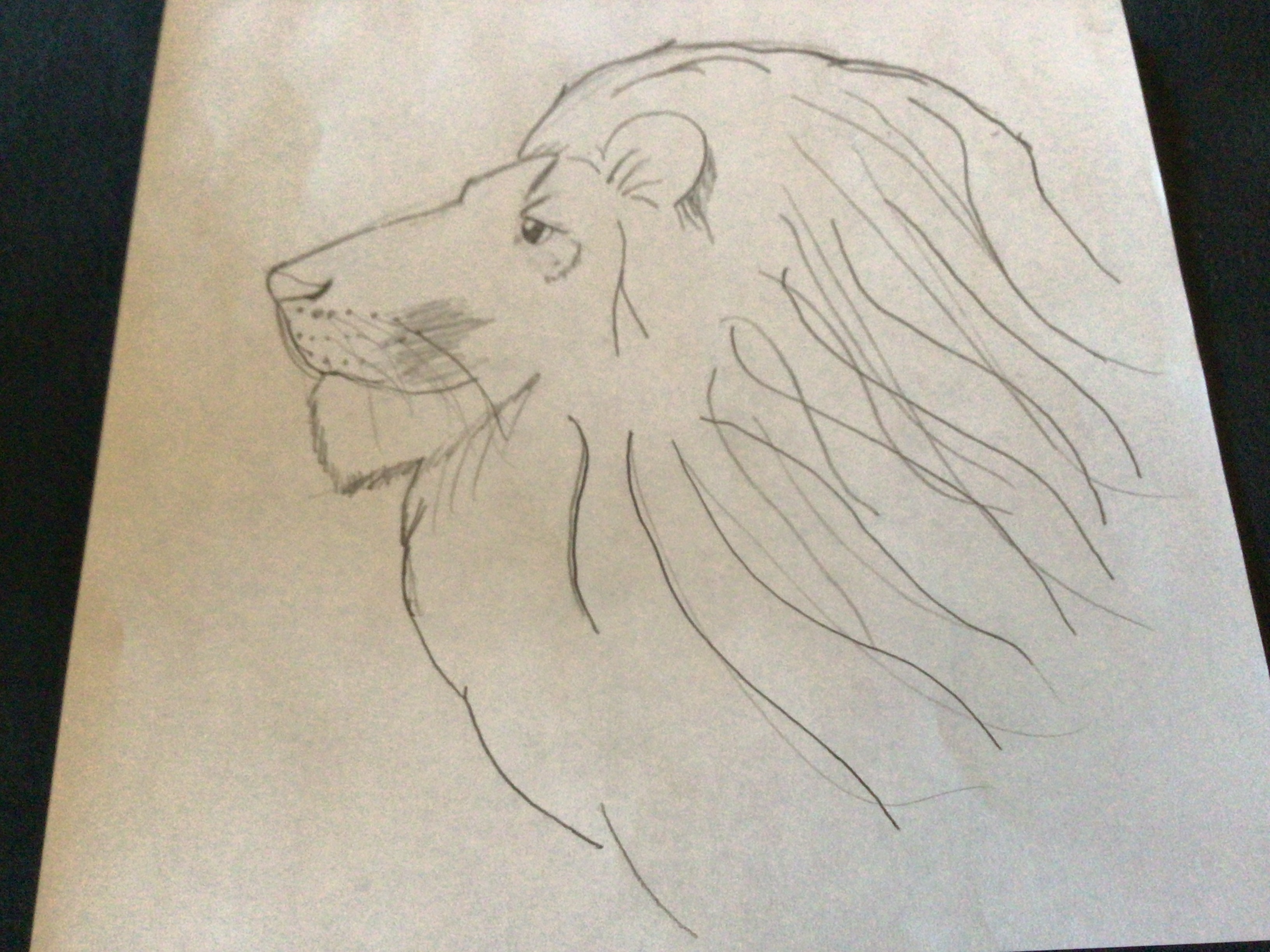 Axfer the African lion Thumbnail