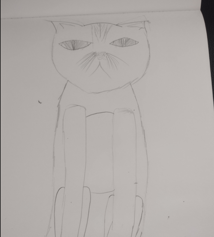 Cat Thumbnail