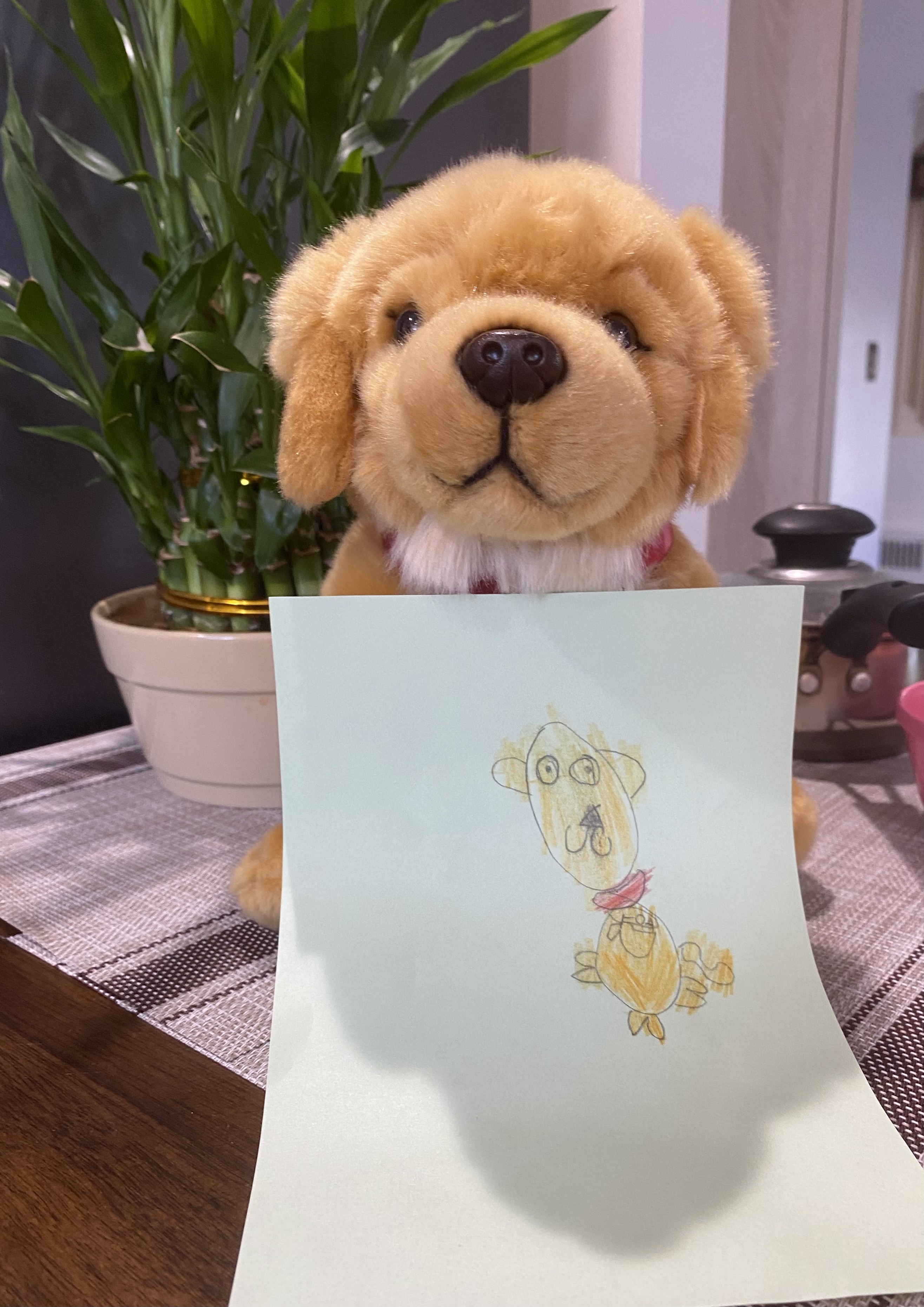 Odin the dog Thumbnail