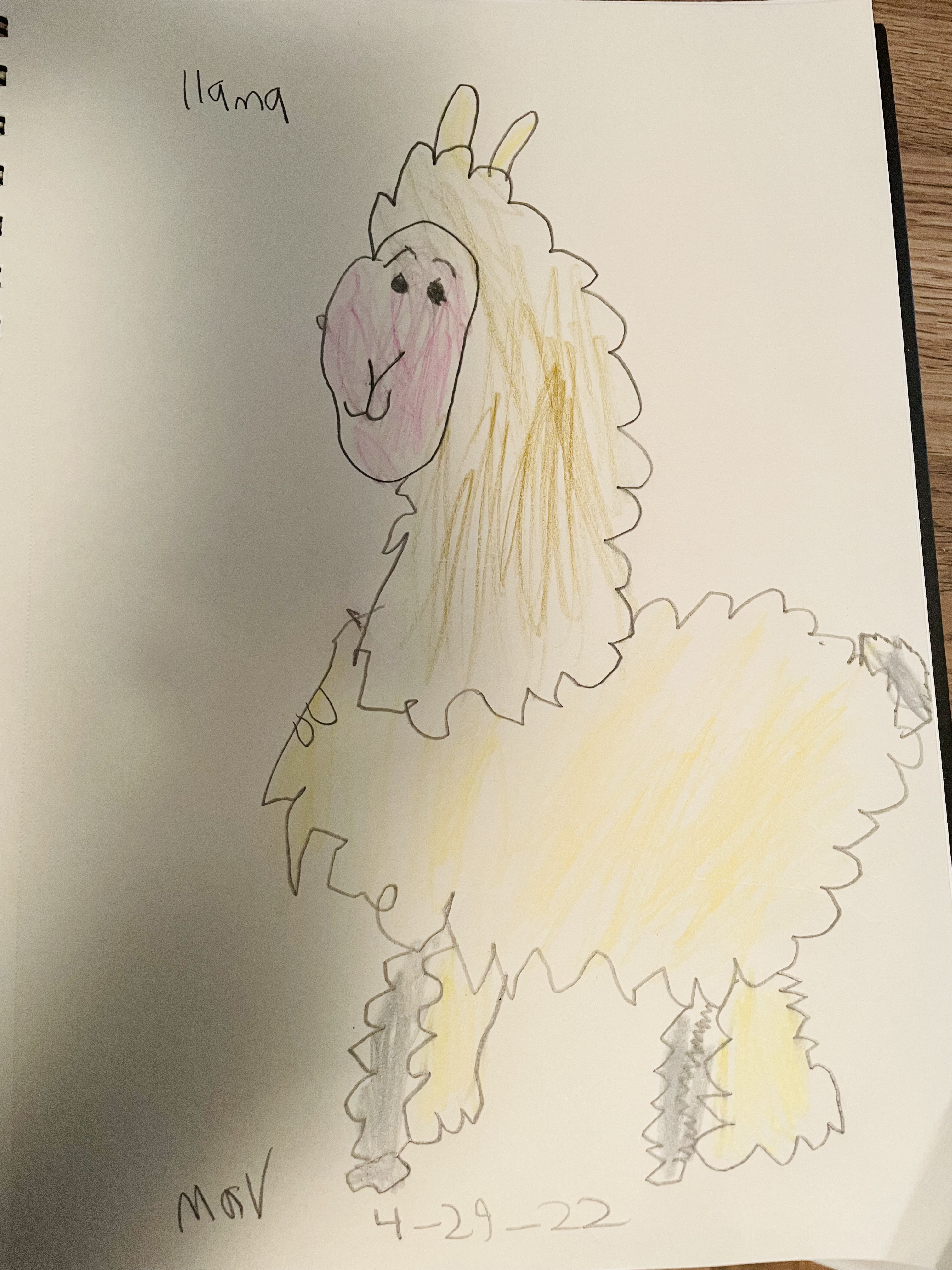 Llama Thumbnail