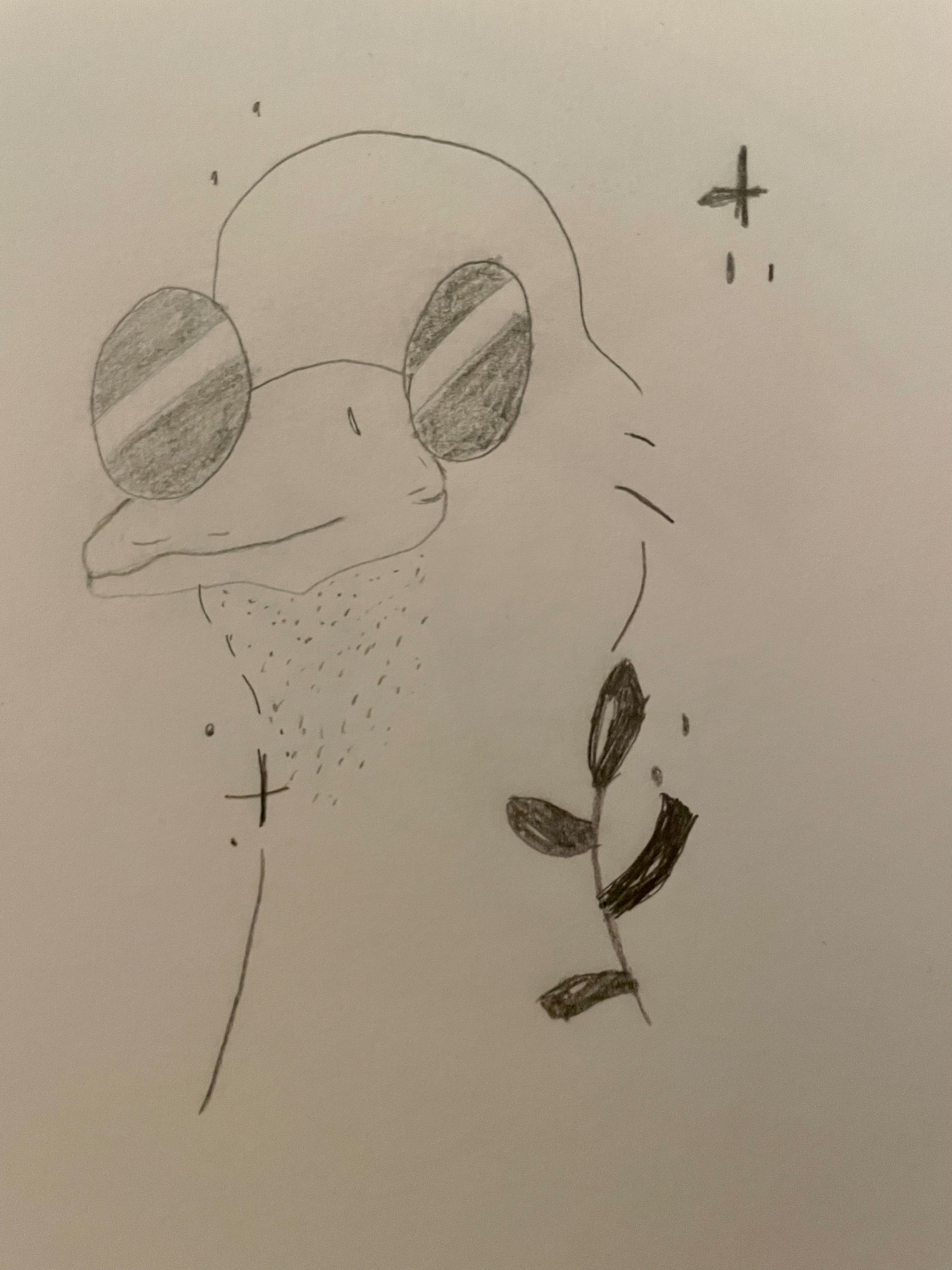 Duck Thumbnail