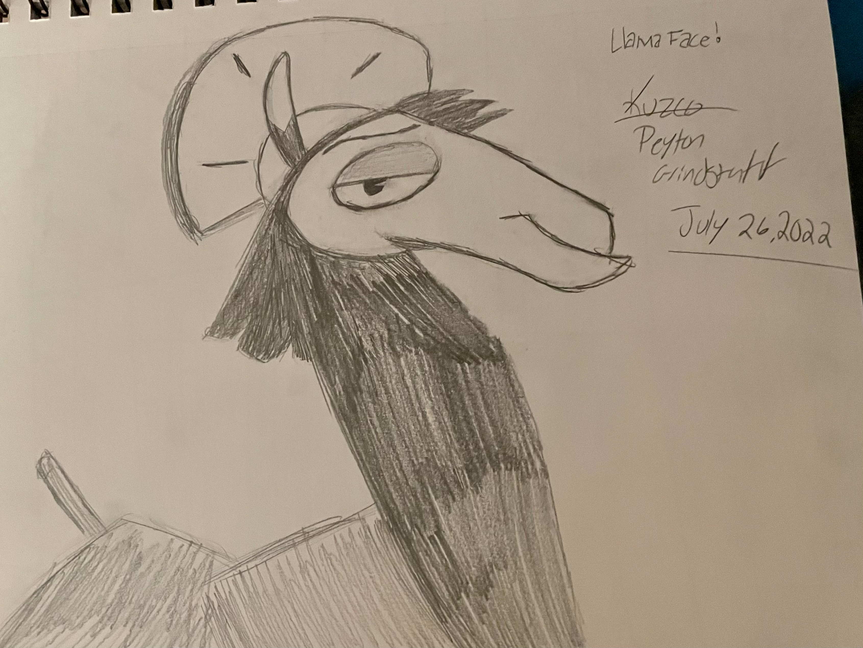 Llama Face Thumbnail