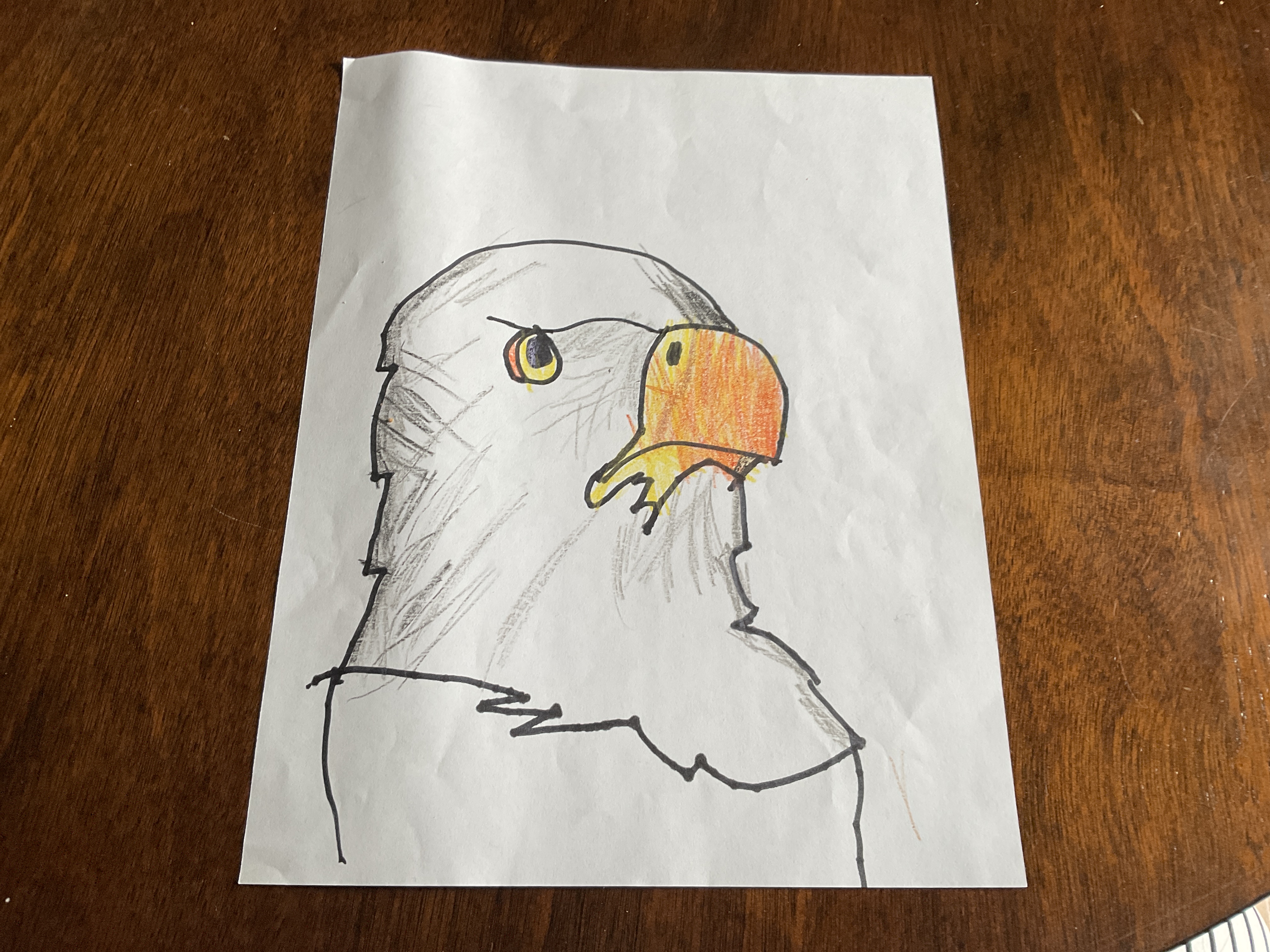 Bald Eagle Thumbnail