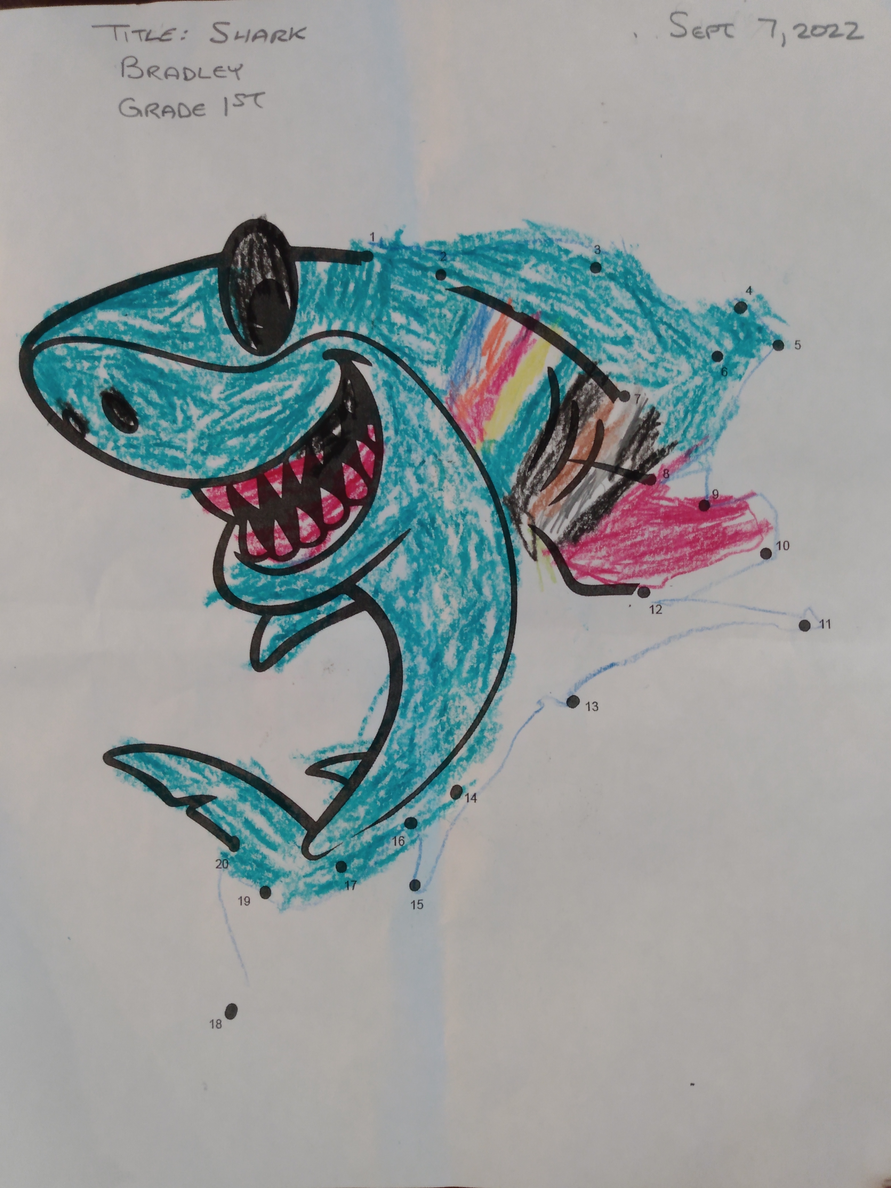 Shark Thumbnail