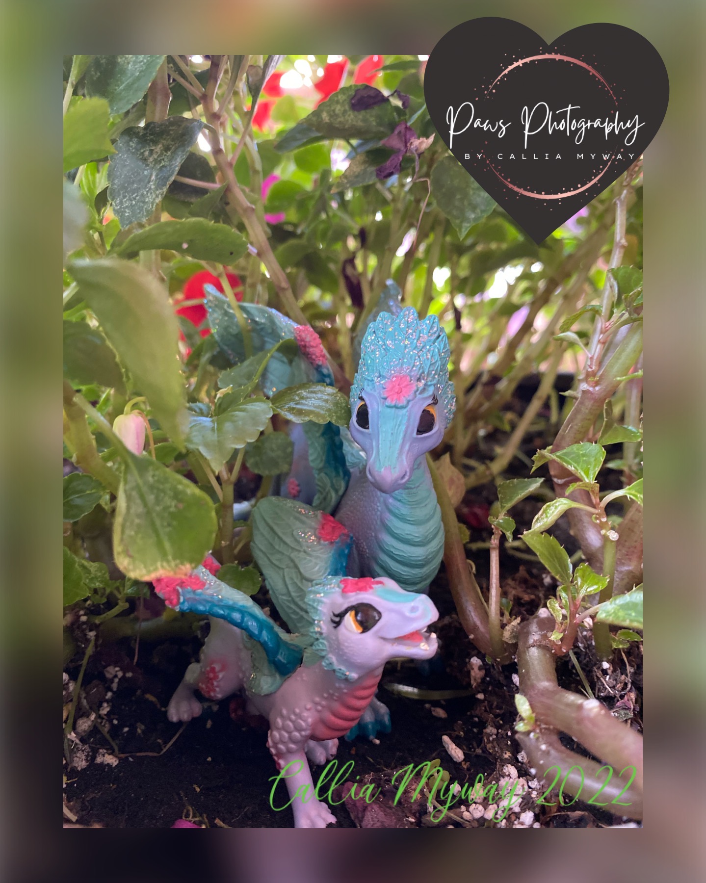 Flororian Dragon and baby Thumbnail