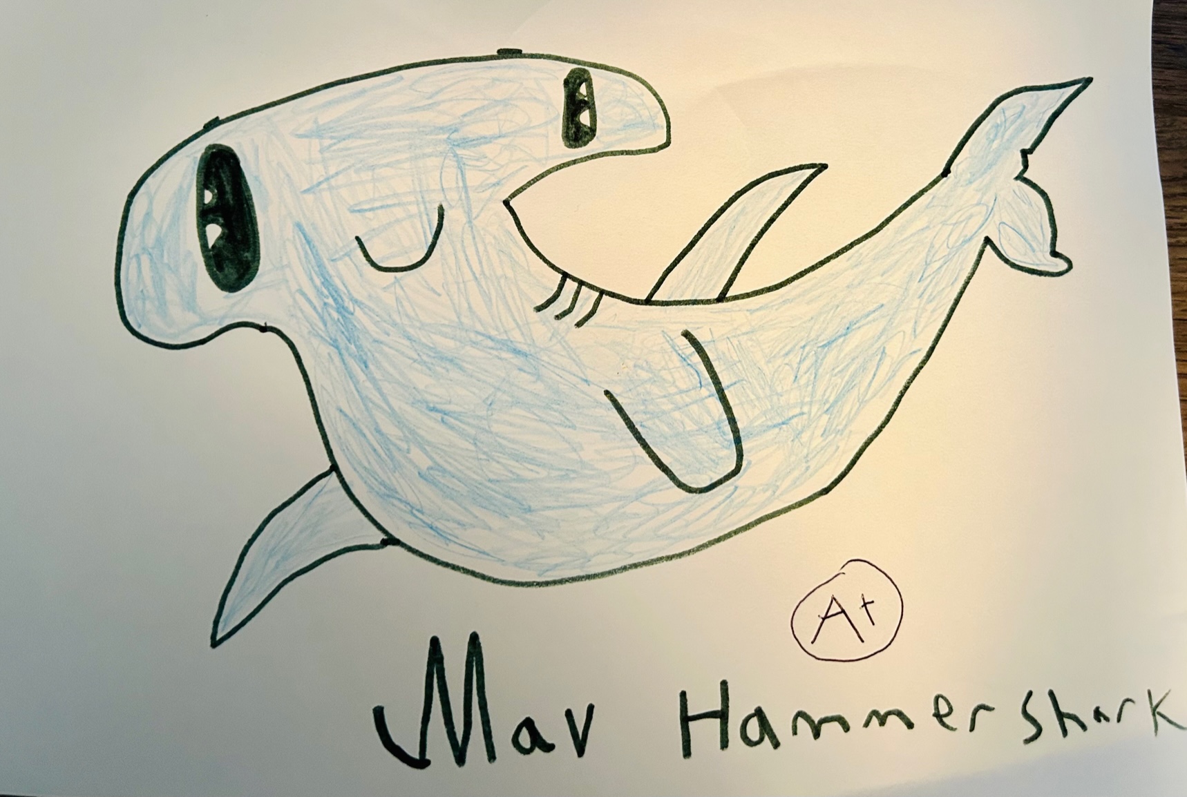 Hammerhead Shark Thumbnail