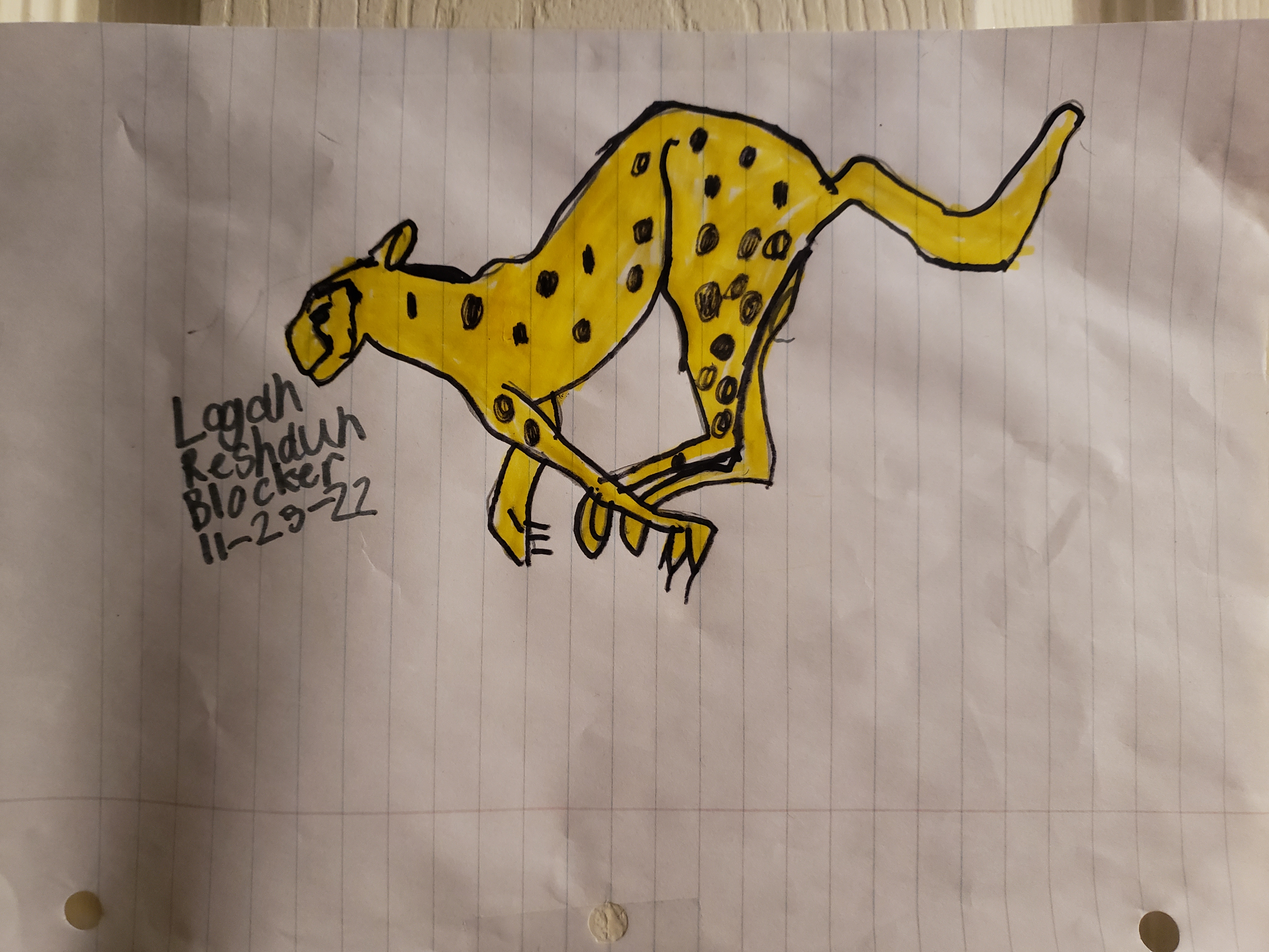 Cheetah Thumbnail