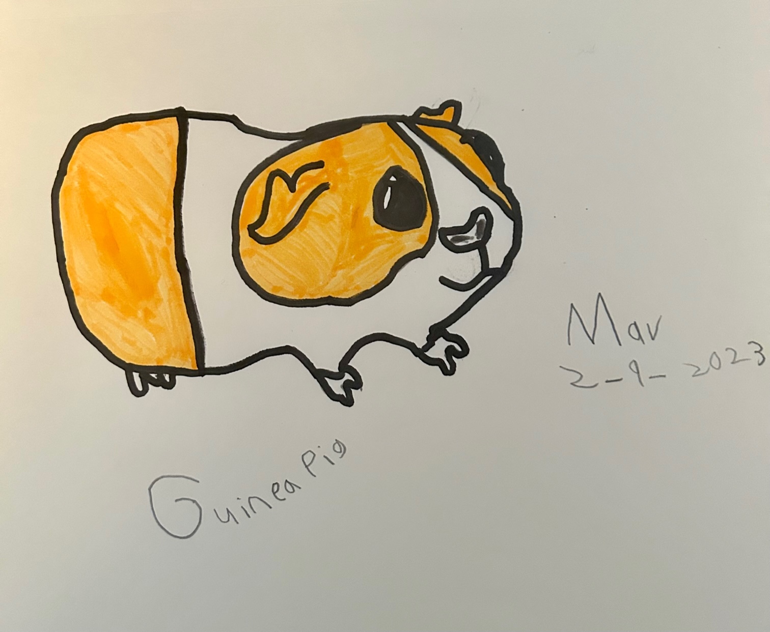Guinea Pig Thumbnail