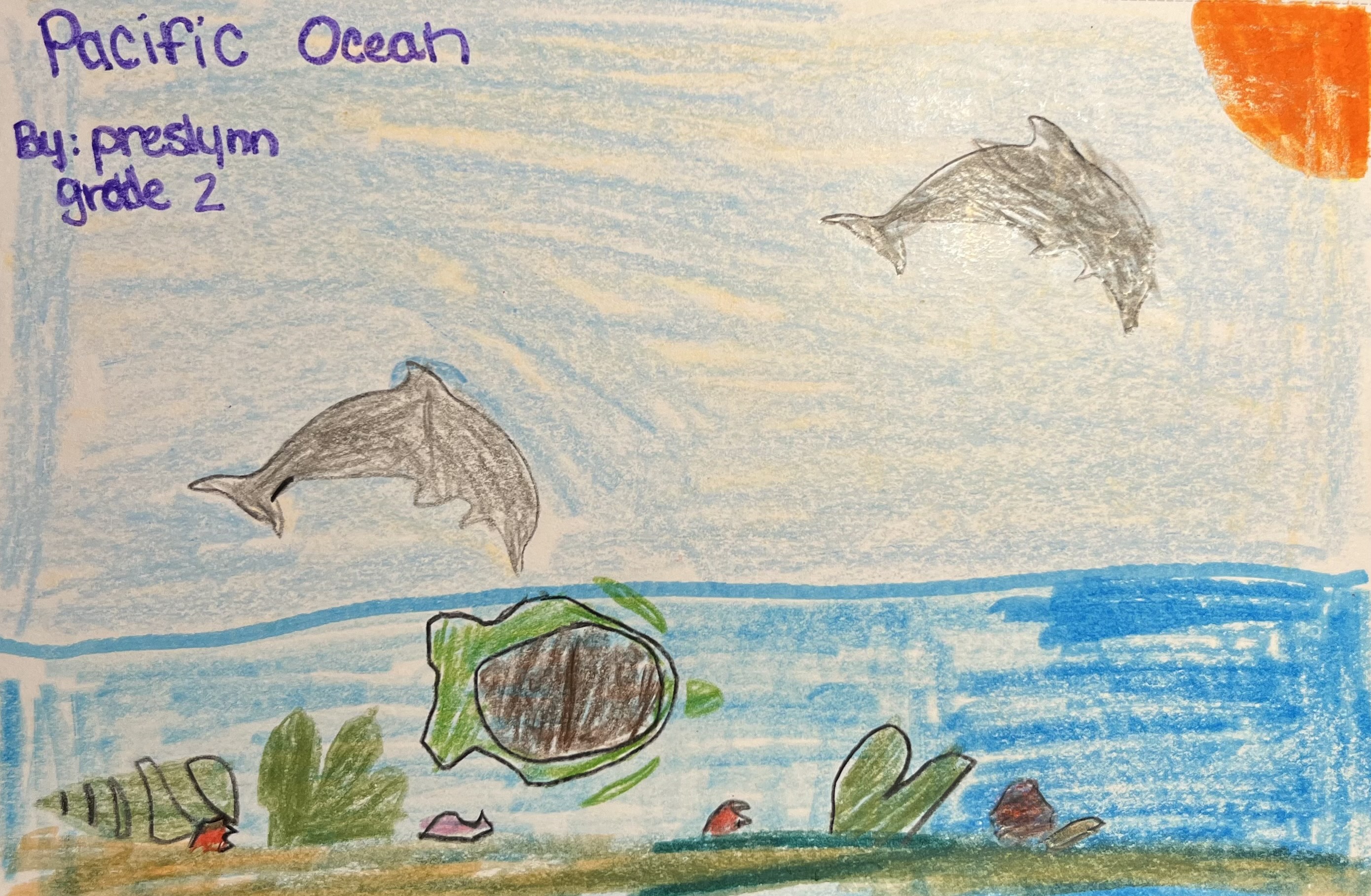 Pacific Ocean Thumbnail