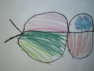The Most Beautiful Butterfly Thumbnail