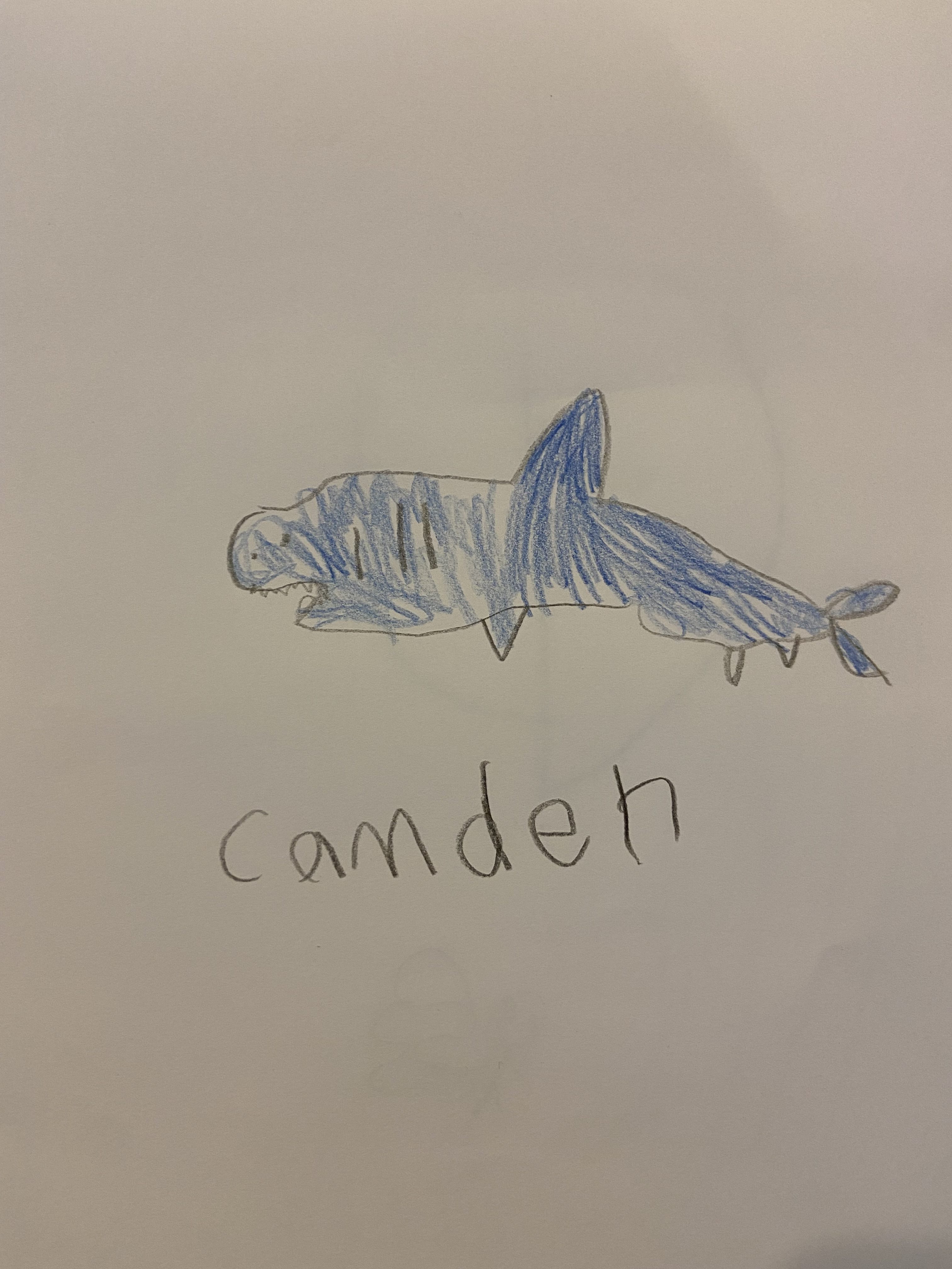 Megalodon Thumbnail