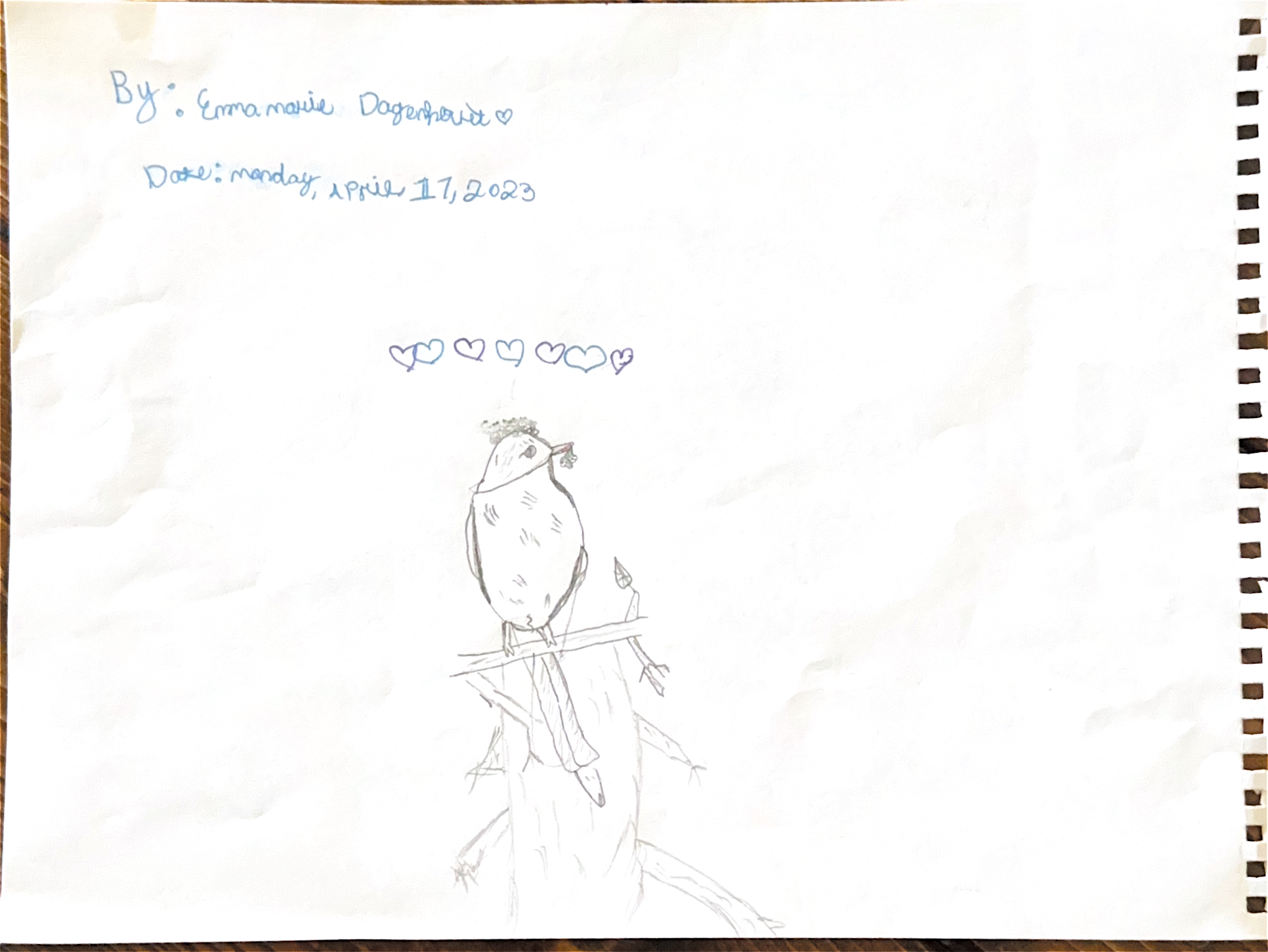Pretty Bird Thumbnail