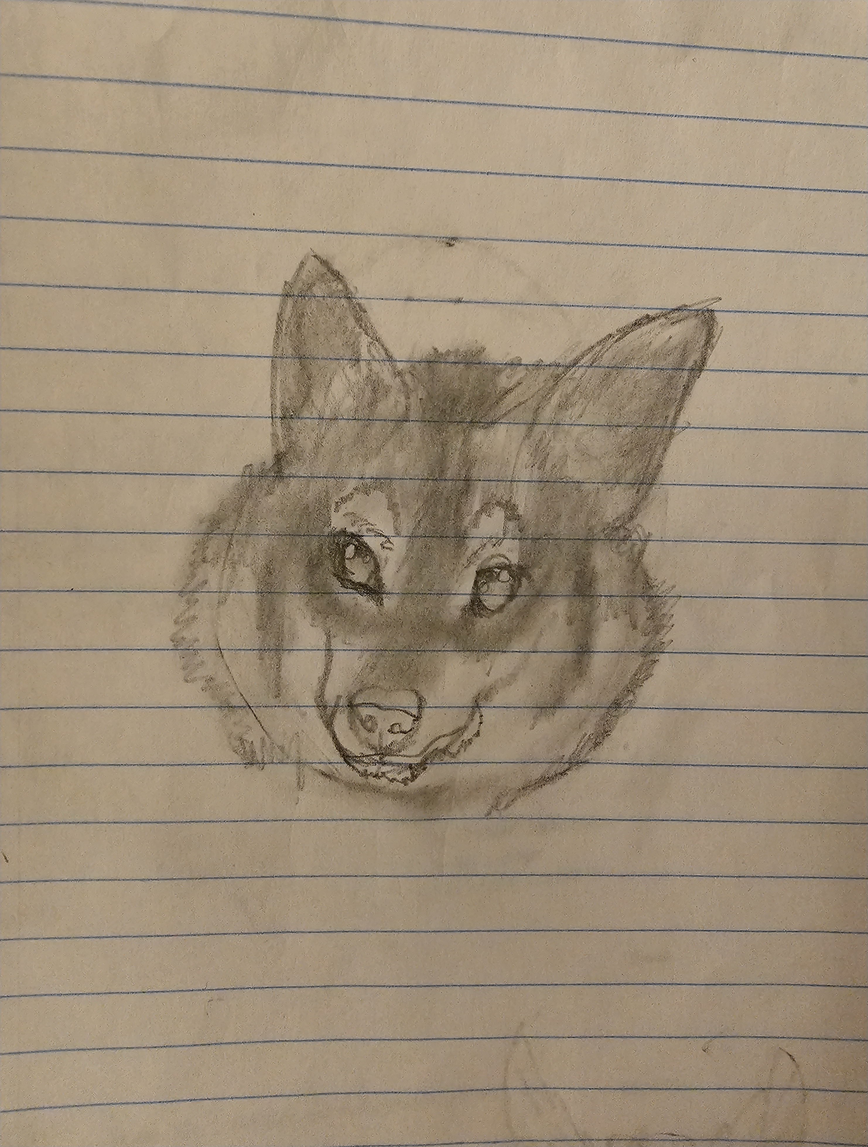 Grey Wolf Thumbnail