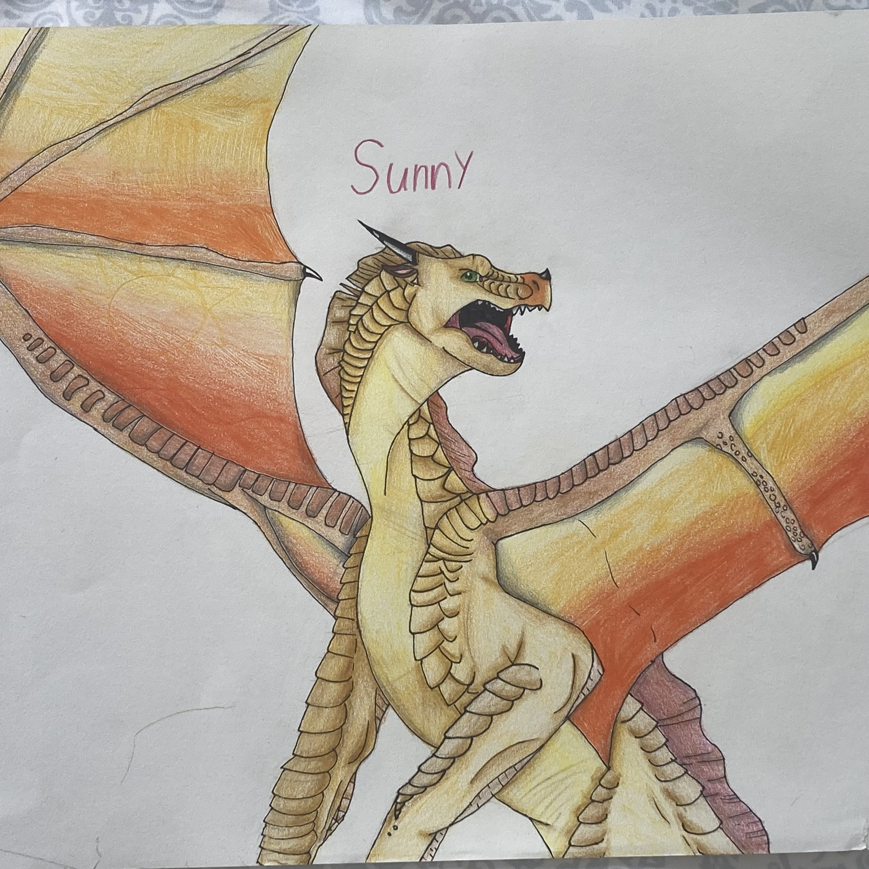 Sunny Thumbnail