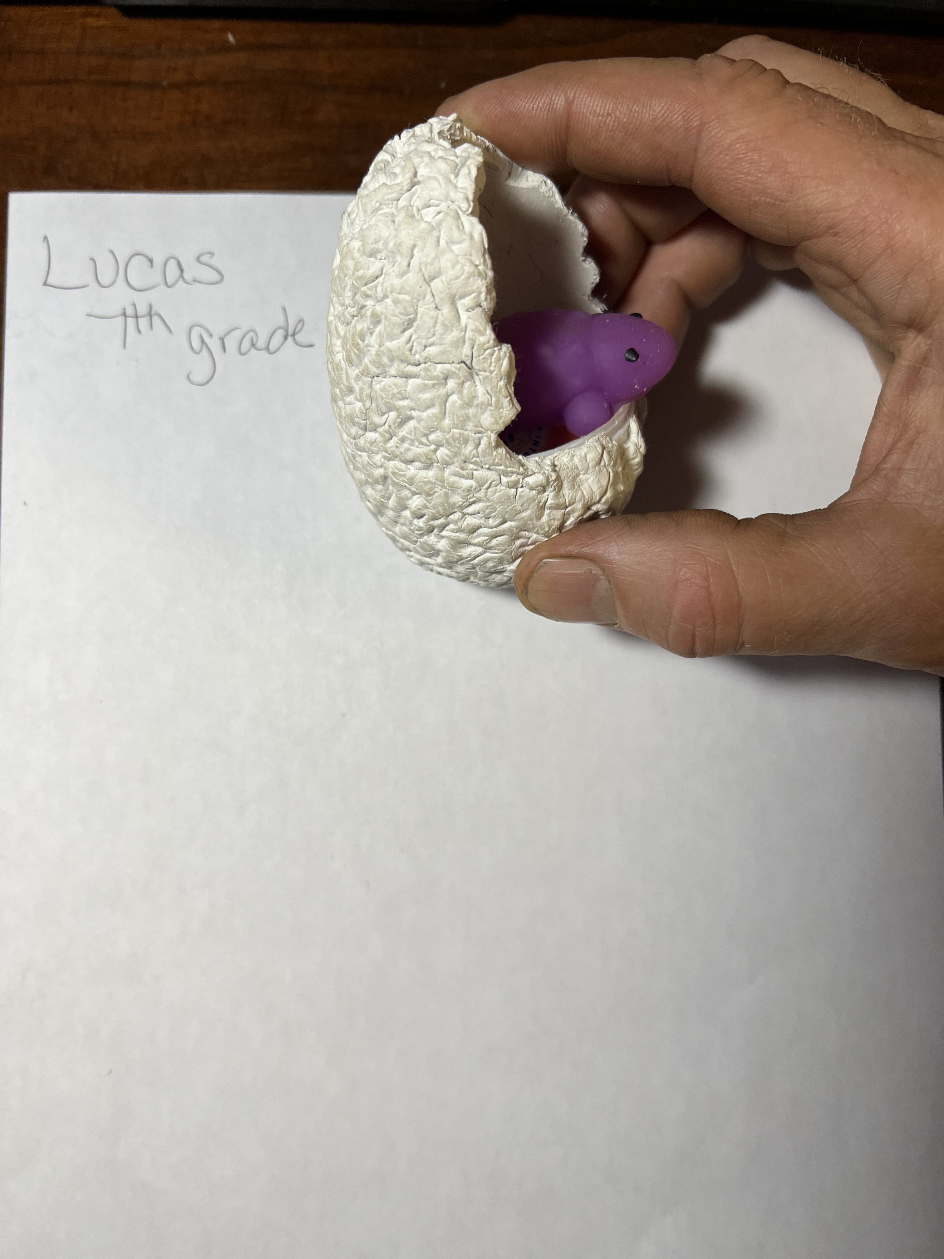 Emerging Purple Dinosaur Thumbnail