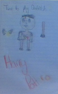 Harry Potter Quidditch Thumbnail
