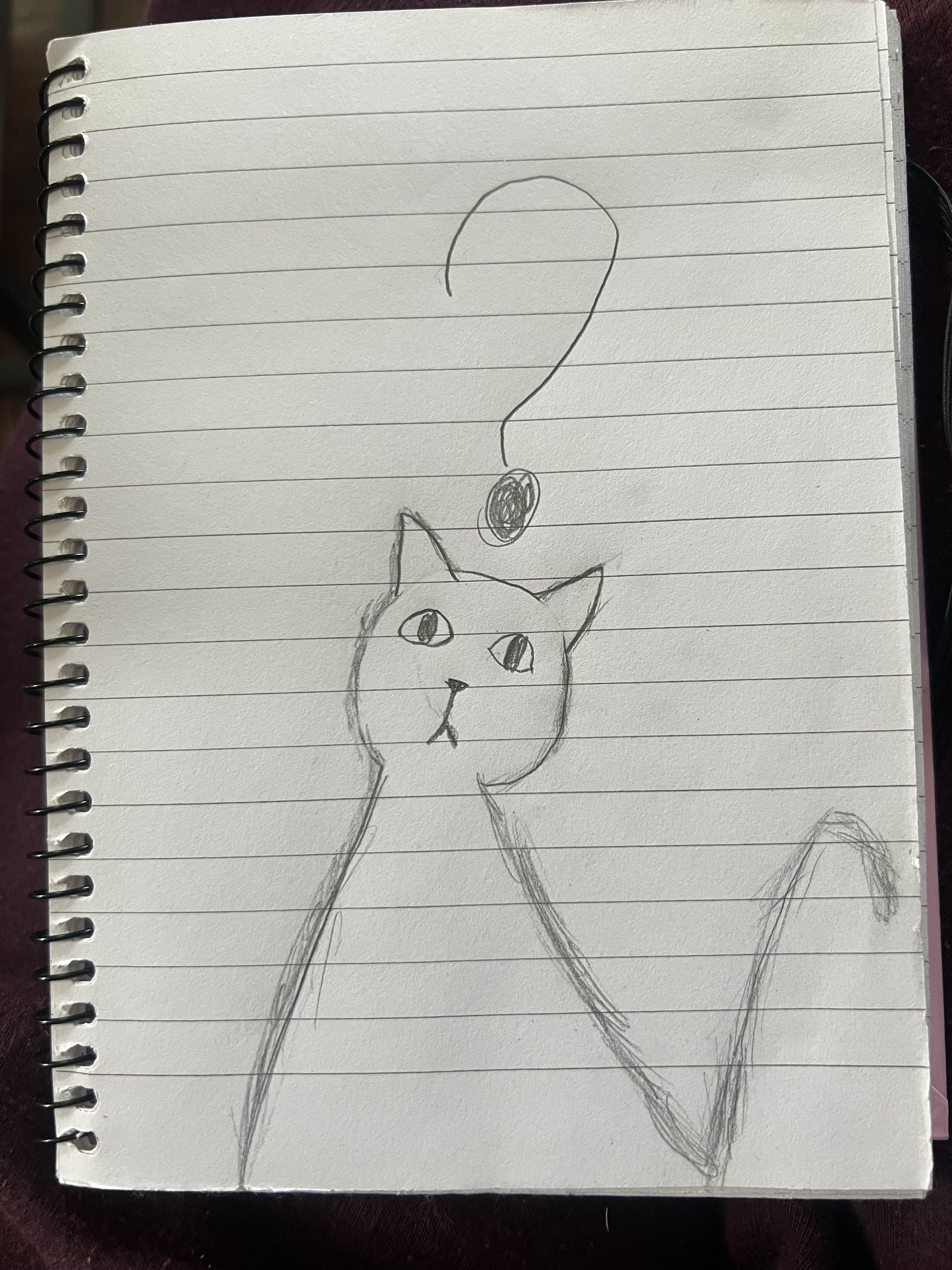 Confused Kitty Thumbnail