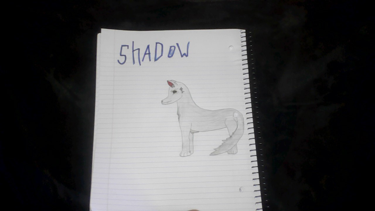 Shadow Thumbnail