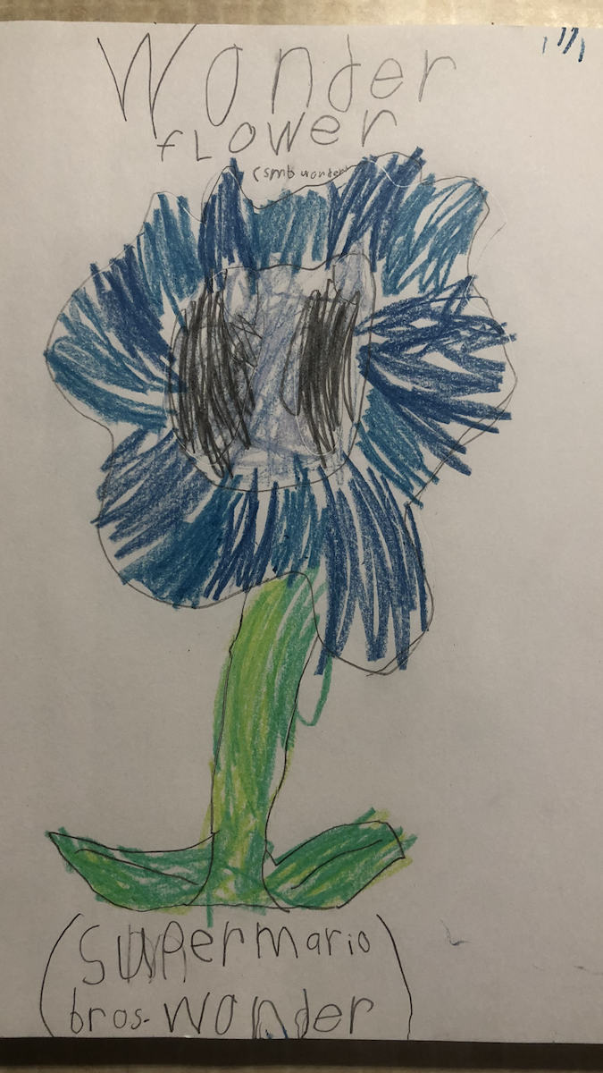 Wonder Flower Thumbnail
