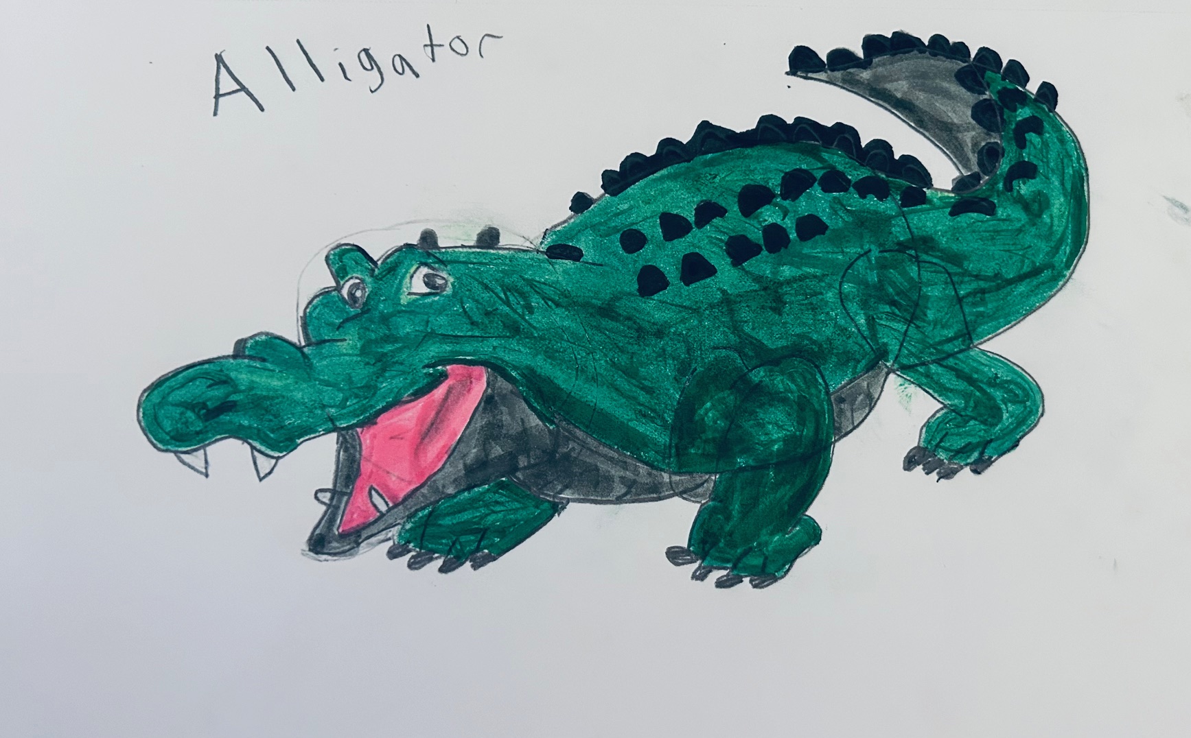 Alligator Thumbnail