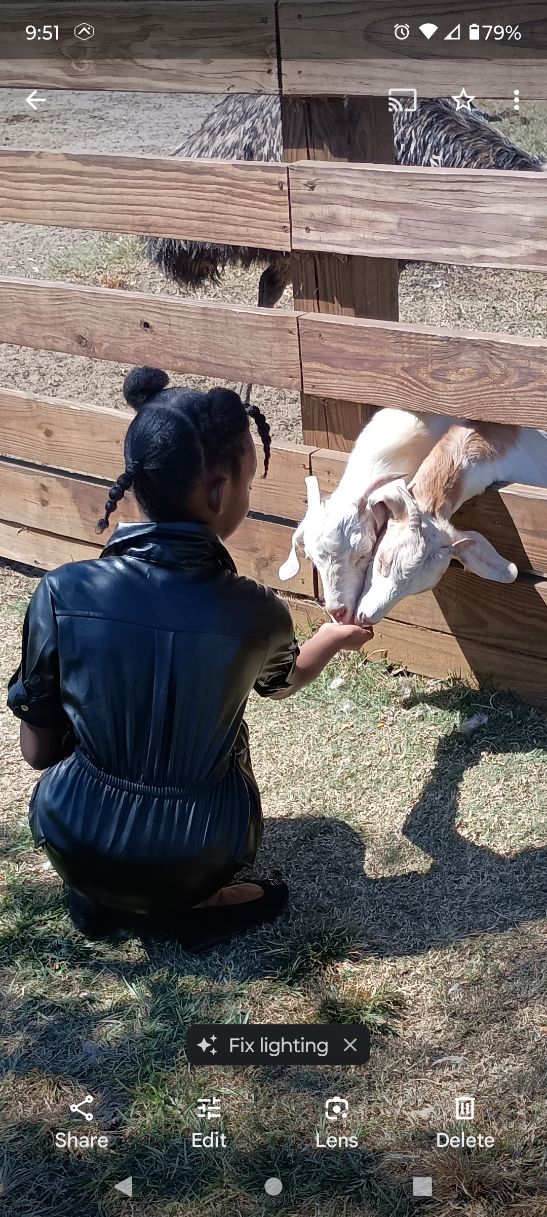 Wild Georgia Petting Zoo Thumbnail