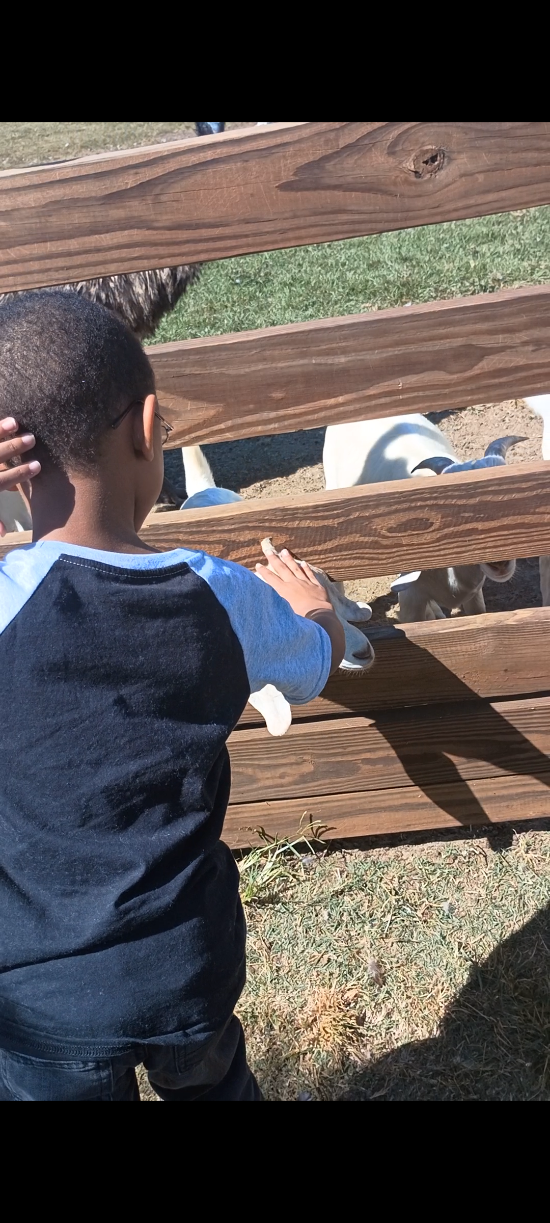 Wild Georgia Petting Zoo Thumbnail