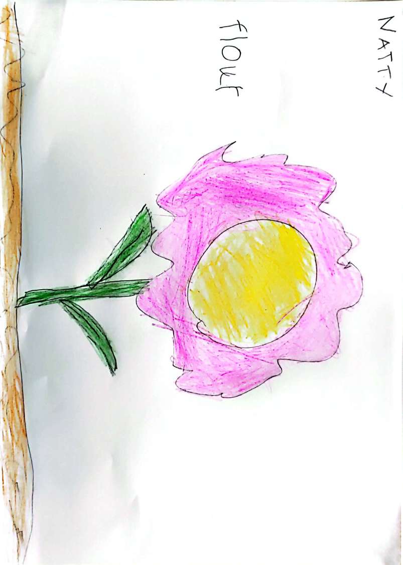 Flower Thumbnail