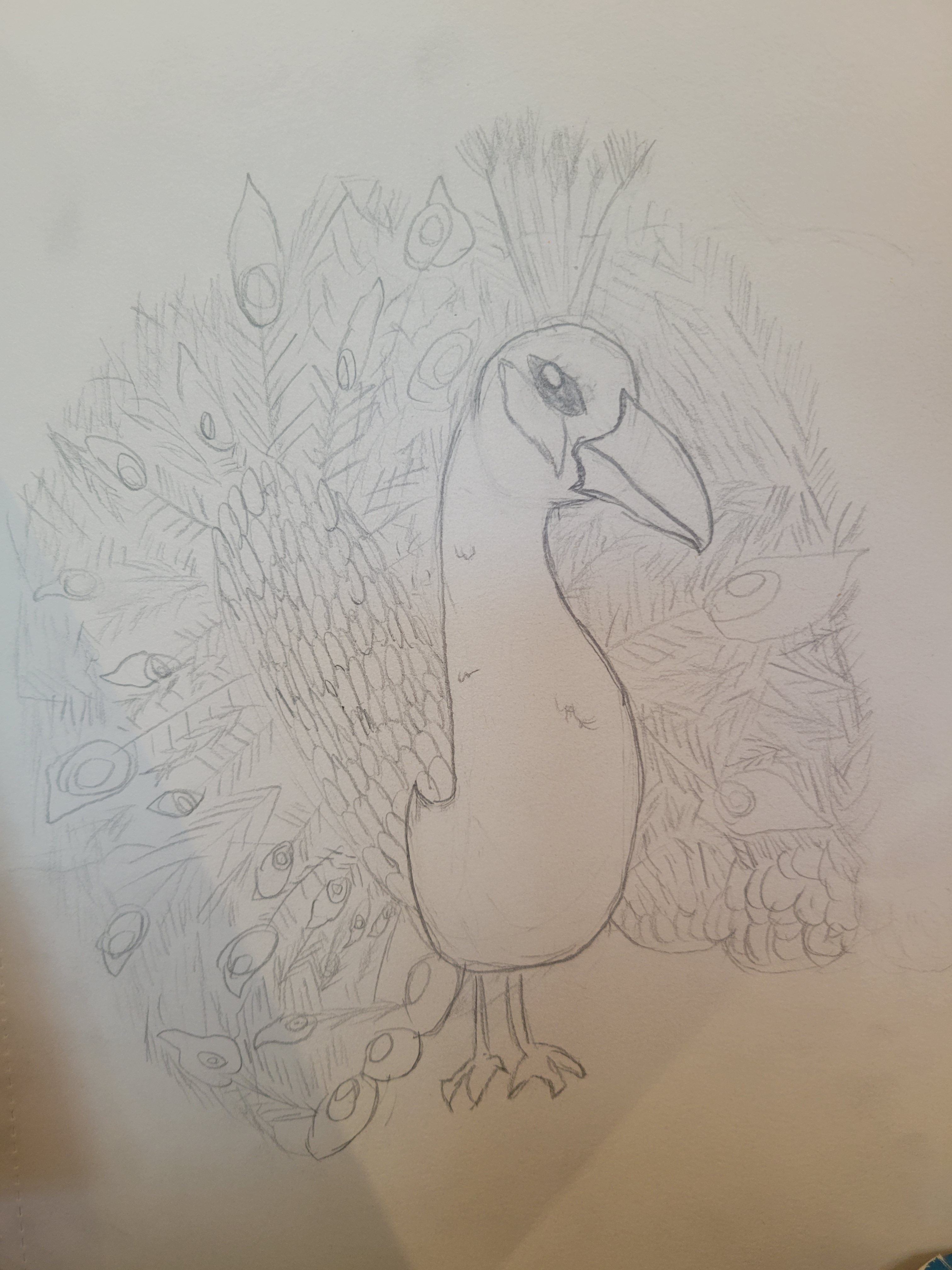 Peacock Thumbnail