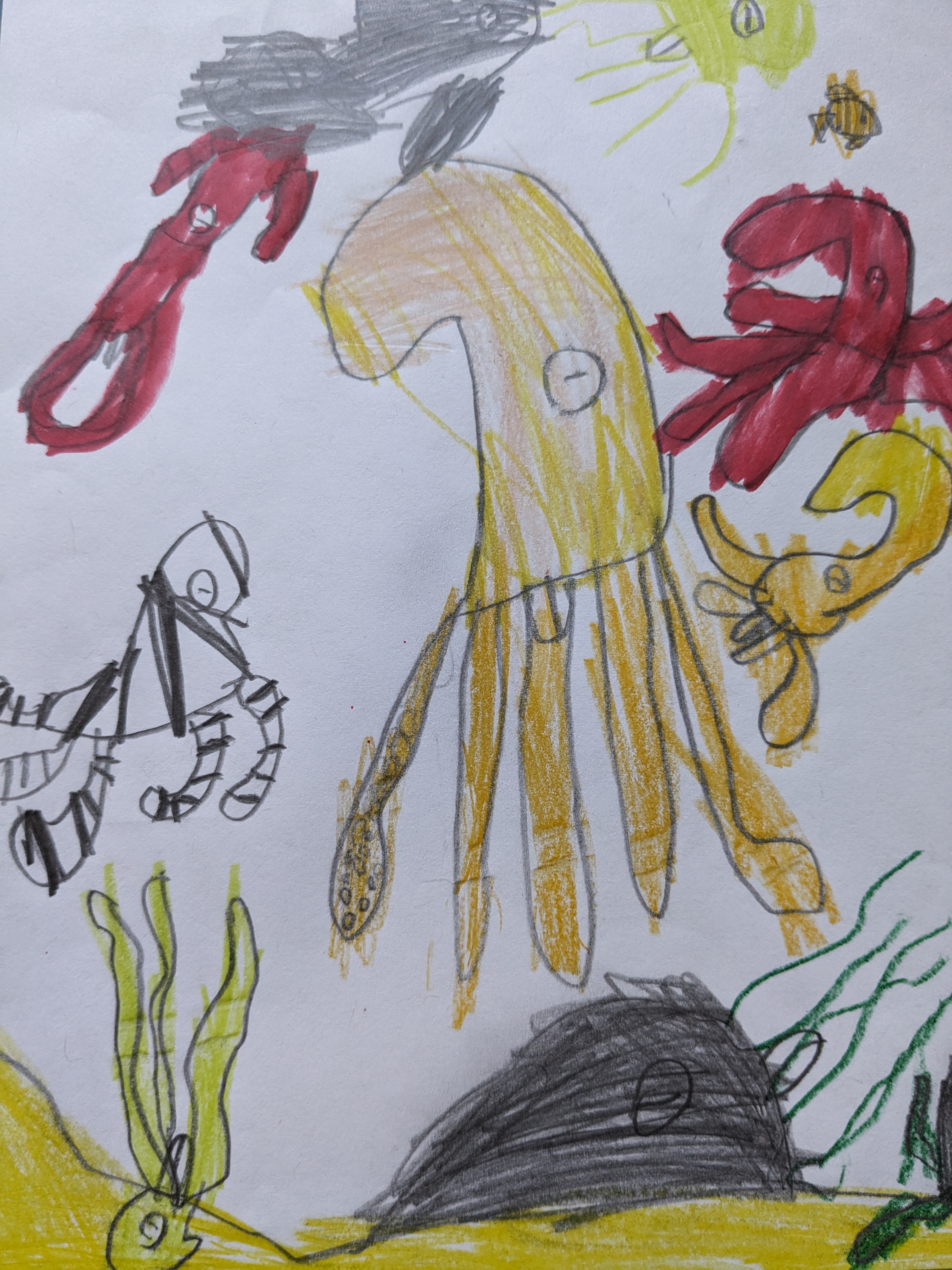 Octopus Festival Thumbnail