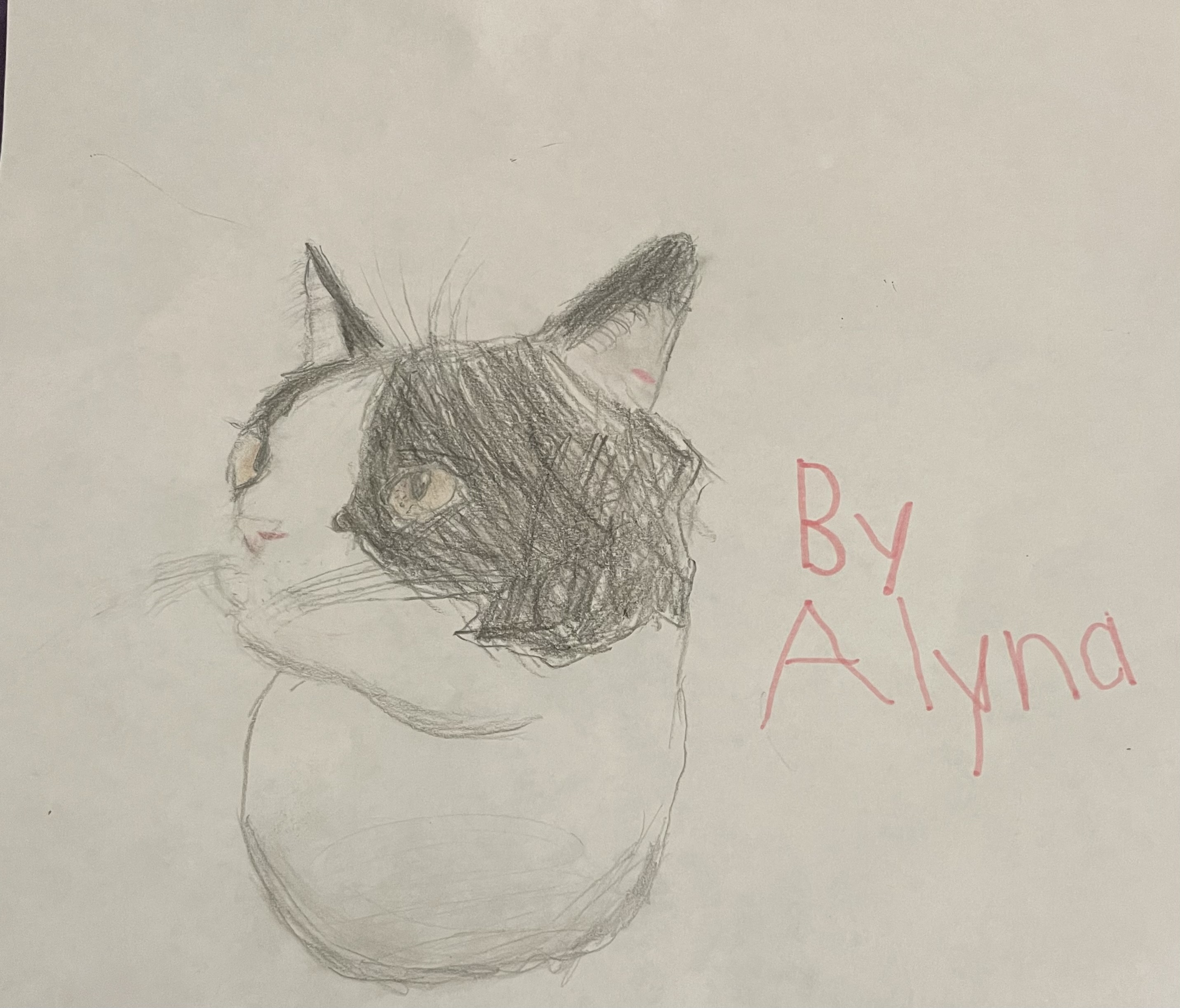 Tuxedo Cat Thumbnail