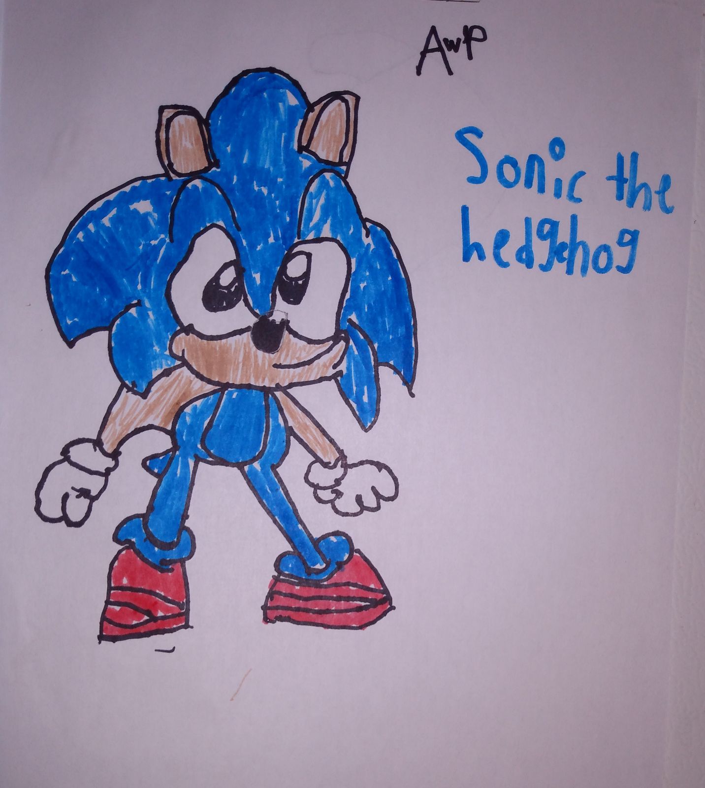 Sonic Thumbnail