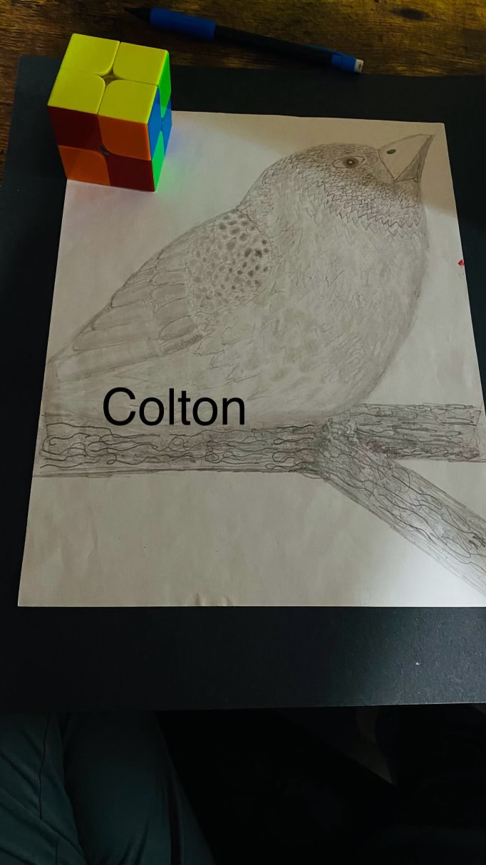 Bird Thumbnail
