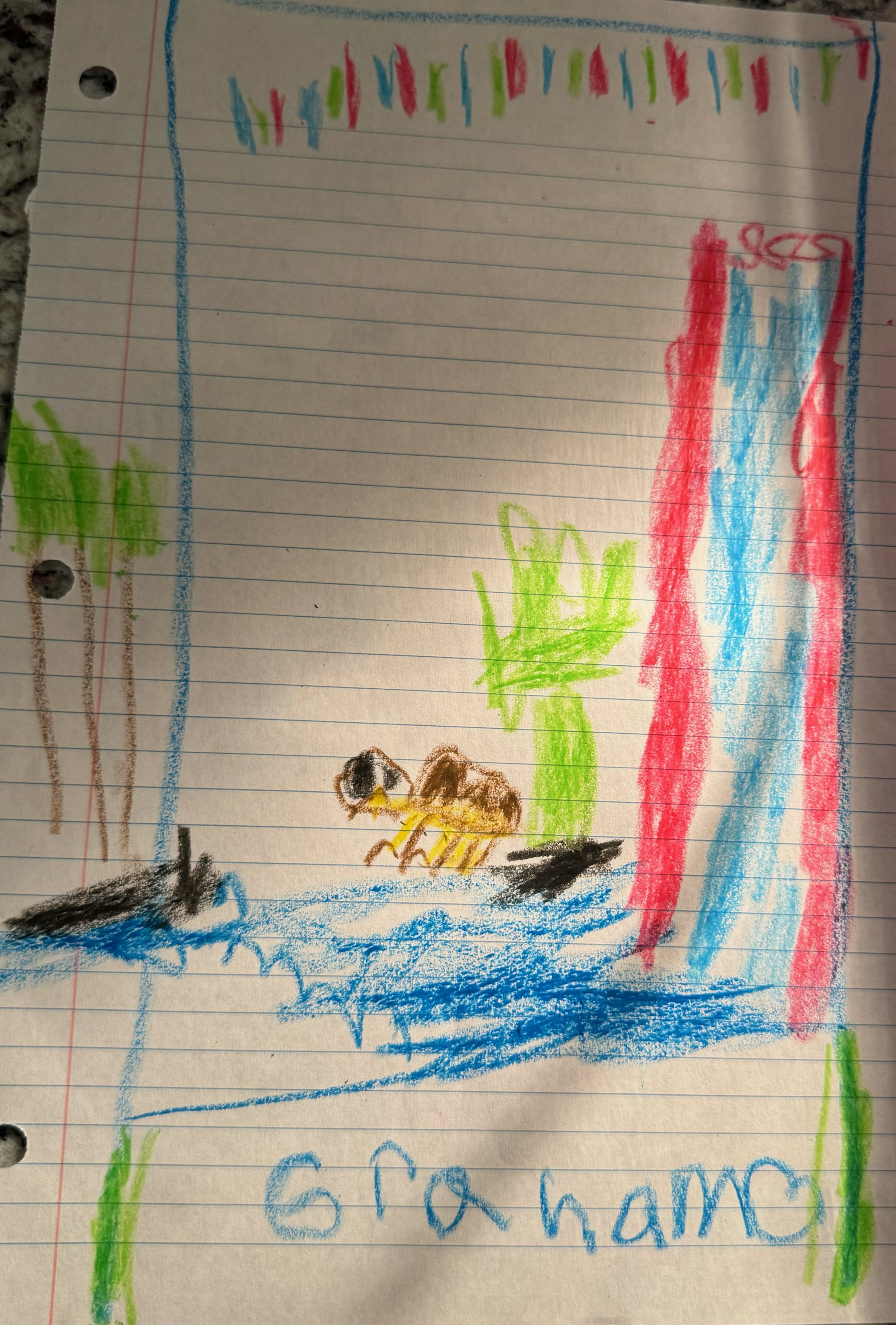 Flash Our Pet Turtle Thumbnail
