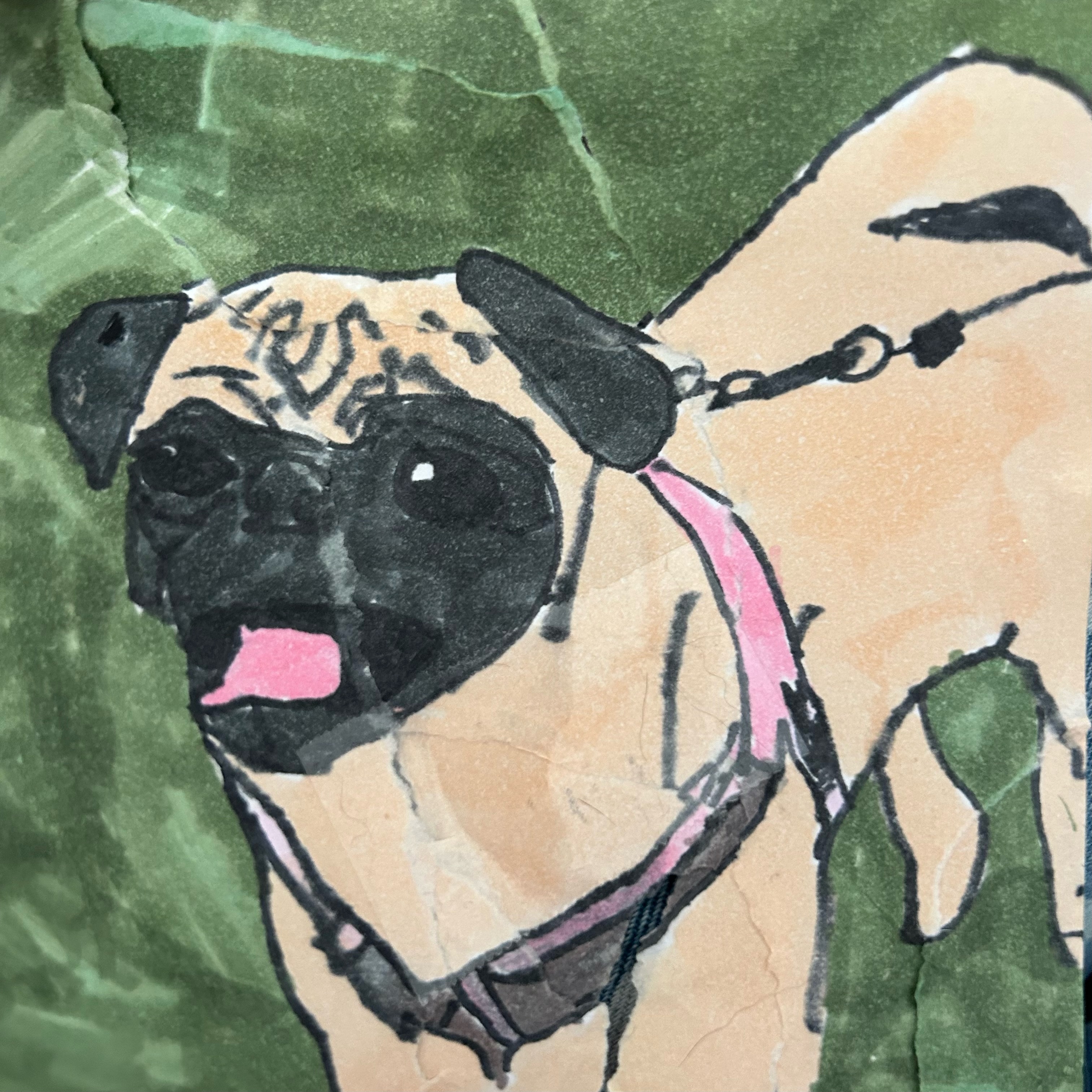 Penelope the Pug Thumbnail