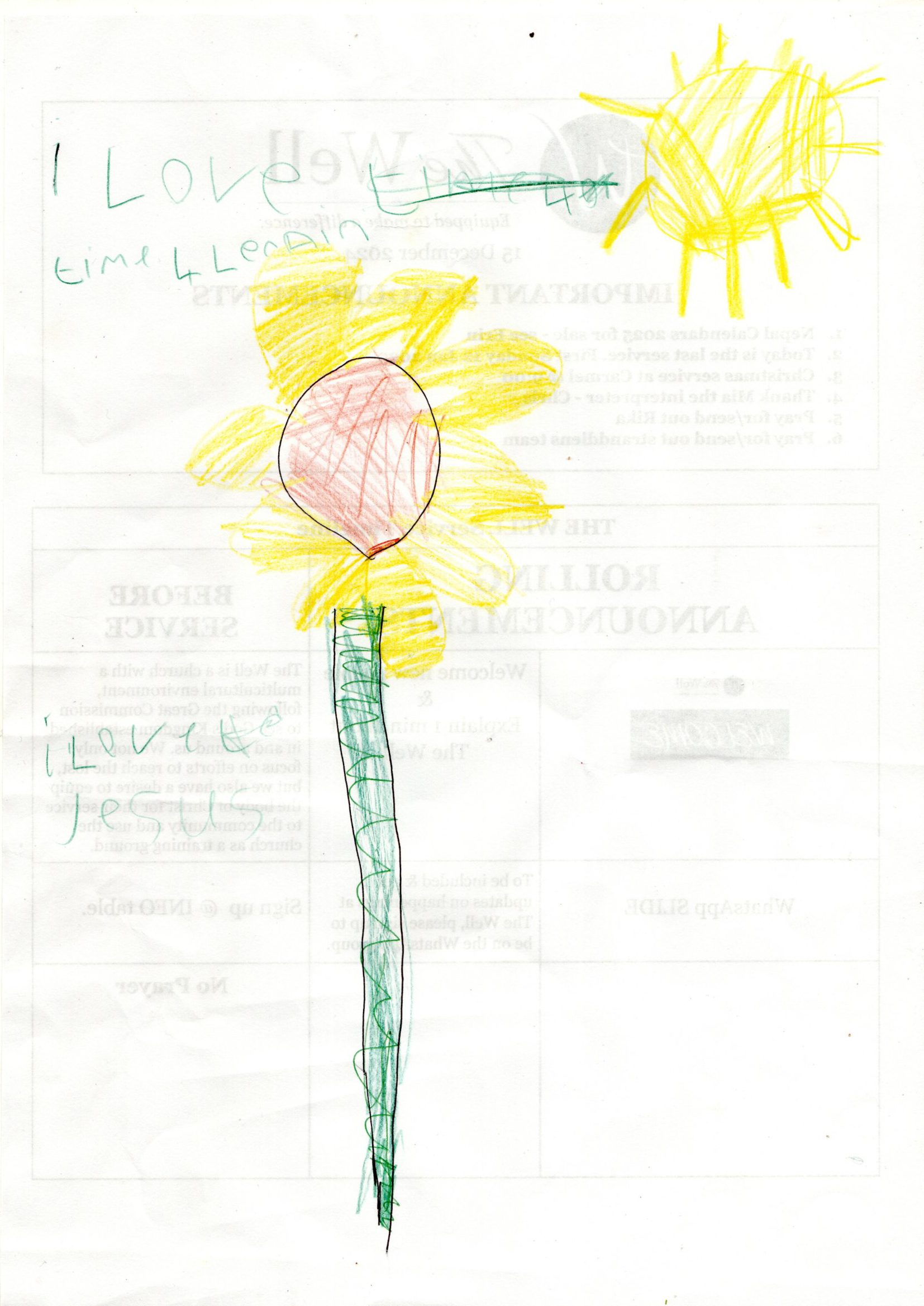 The Sunflower Thumbnail
