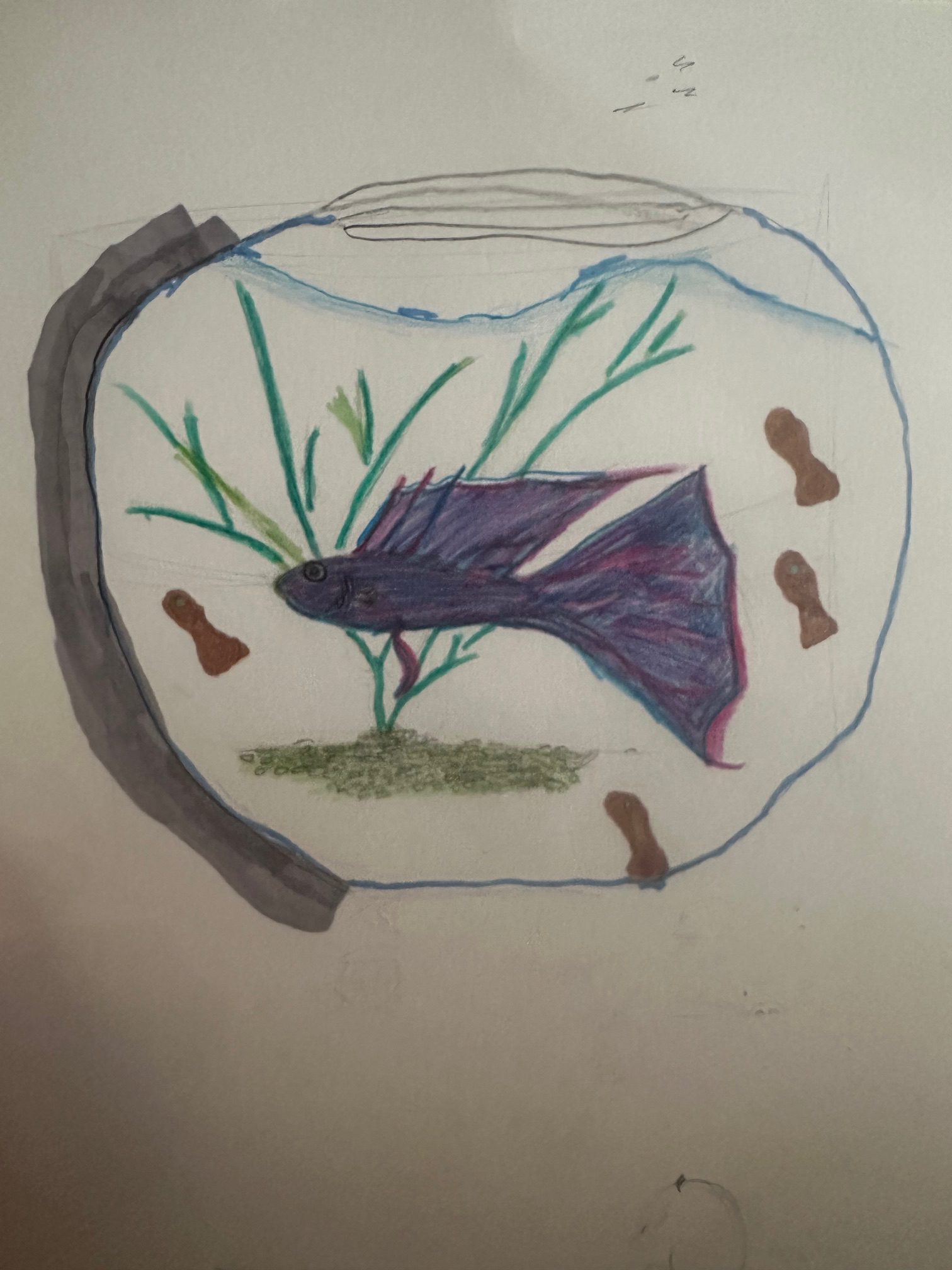 Fish Bowl Thumbnail