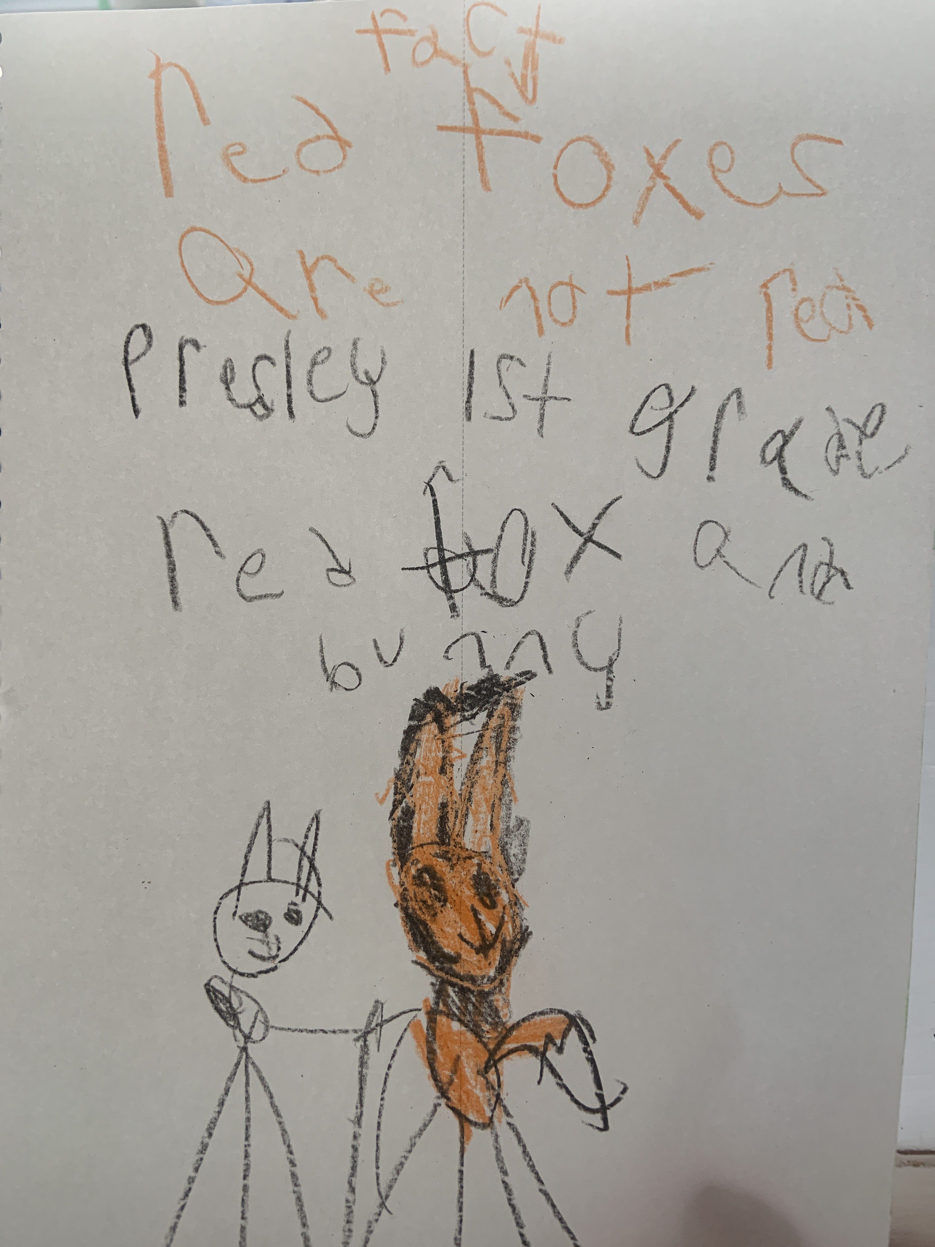 Red Foxes Thumbnail